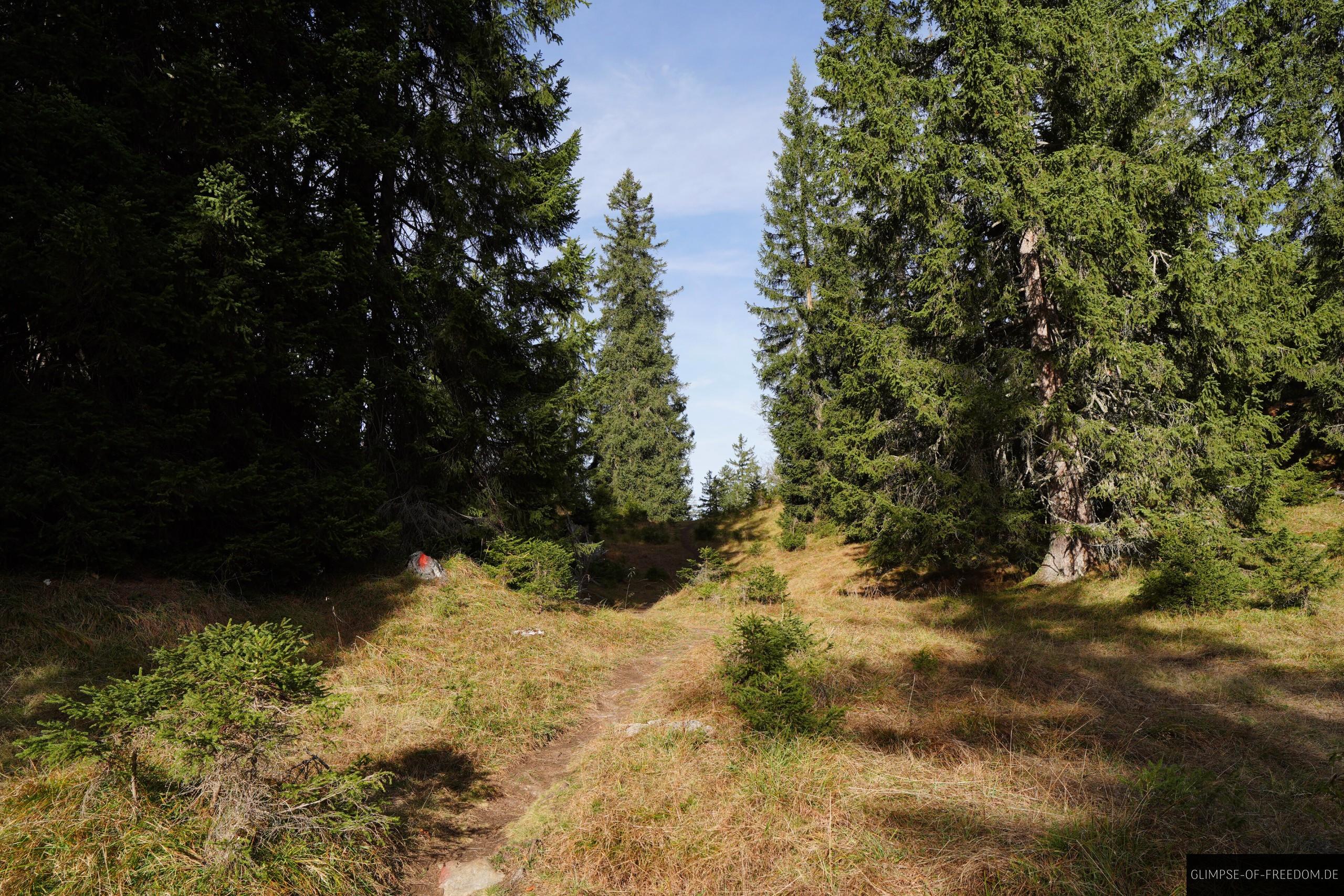 Der Aufstieg zum Schoenjoechl Der Aufstieg zum Schönjöchl