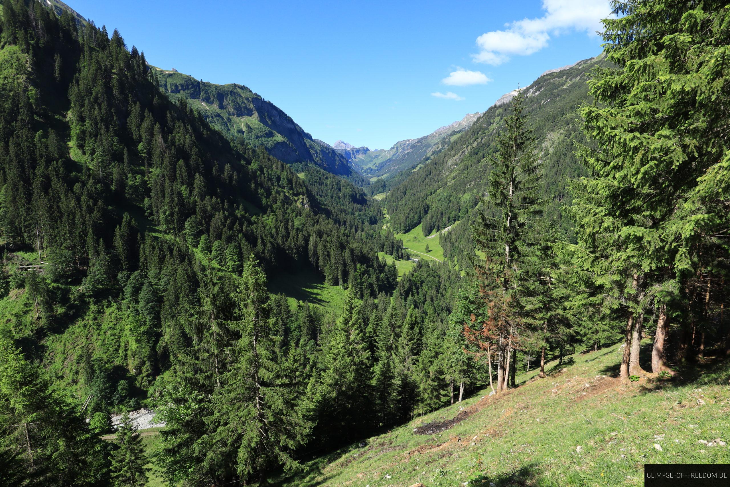 Der Blick zurueck vom Weg Richtung Einoedsberg scaled Der Blick zurück vom Weg Richtung Einödsberg