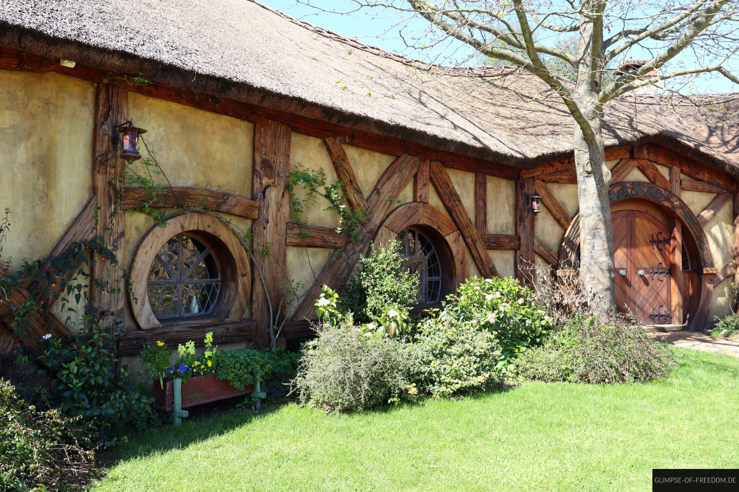 Der Gruene Drache von Aussen scaled Der Grüne Drache von Außen