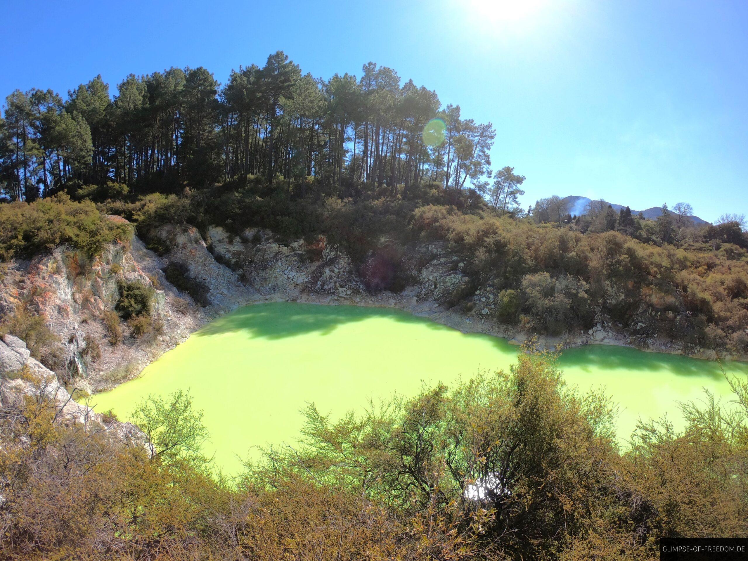 Der Gruene Roto Karikitea scaled DCIM100GOPROGOPR1522.JPG
