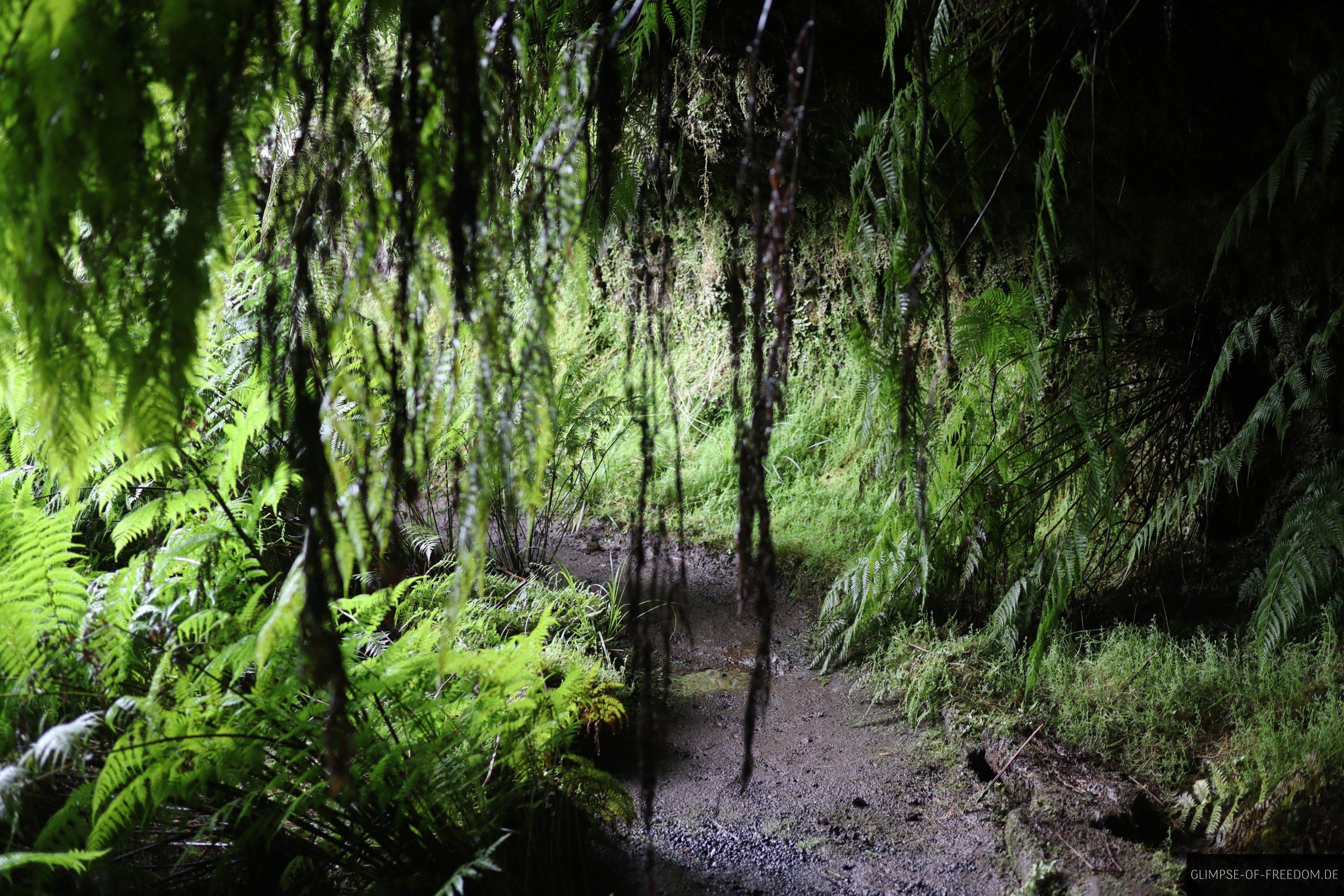 Der Weg in die Furna de Frei Matias scaled Der Weg in die Furna de Frei Matias