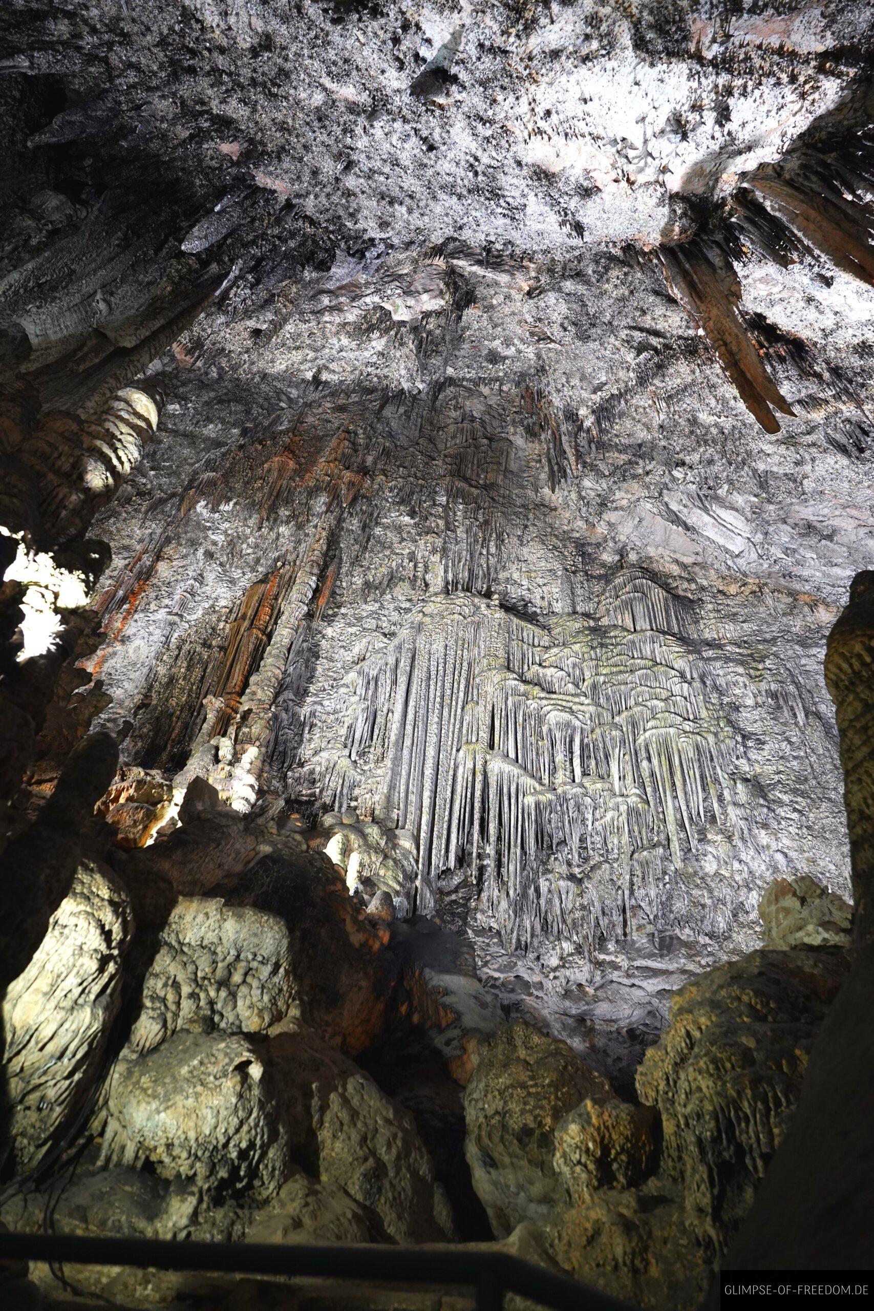 Die Gloria scaled Die Gloria