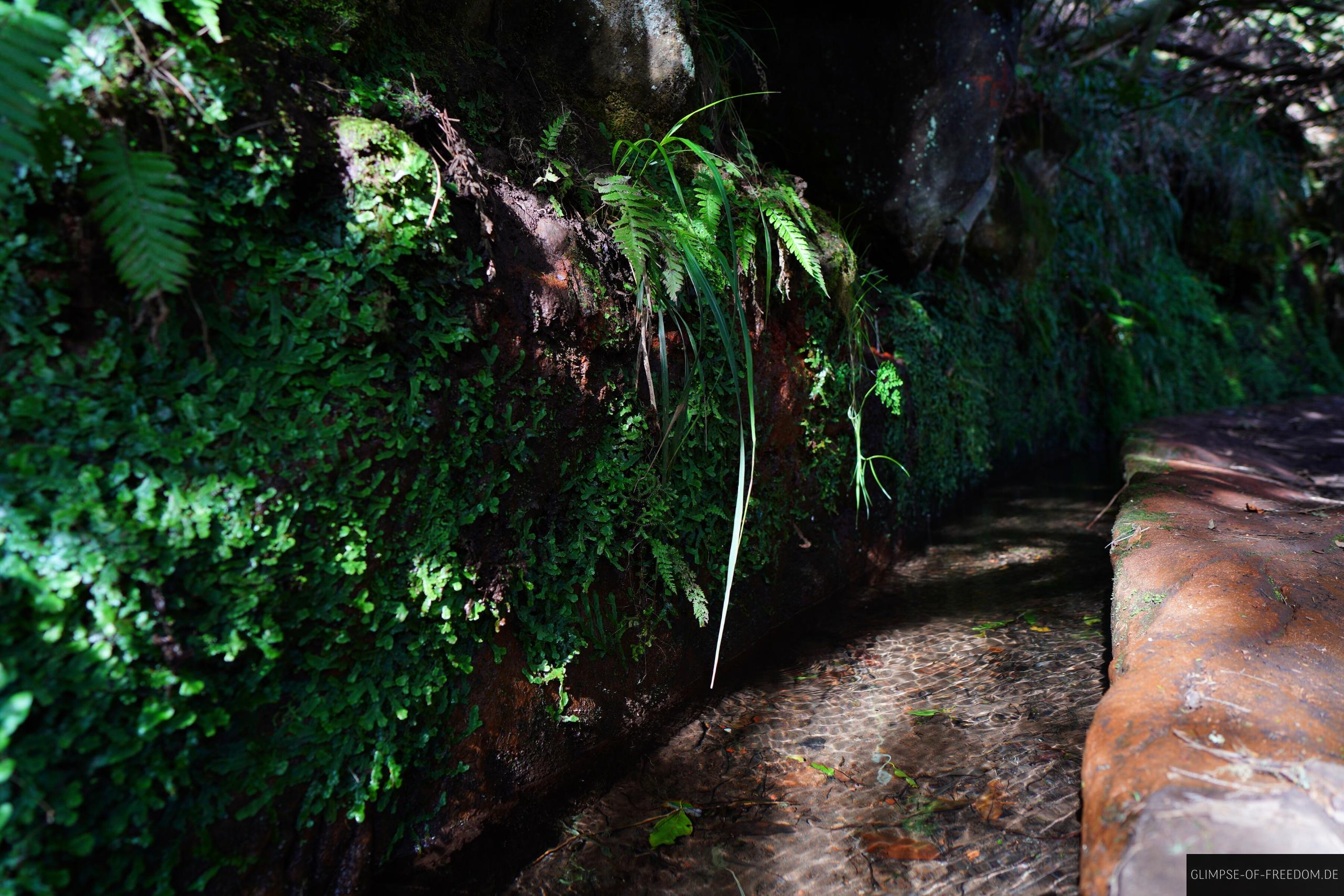 Die Levada do Caldeirao Verde Die Levada do Caldeirao Verde