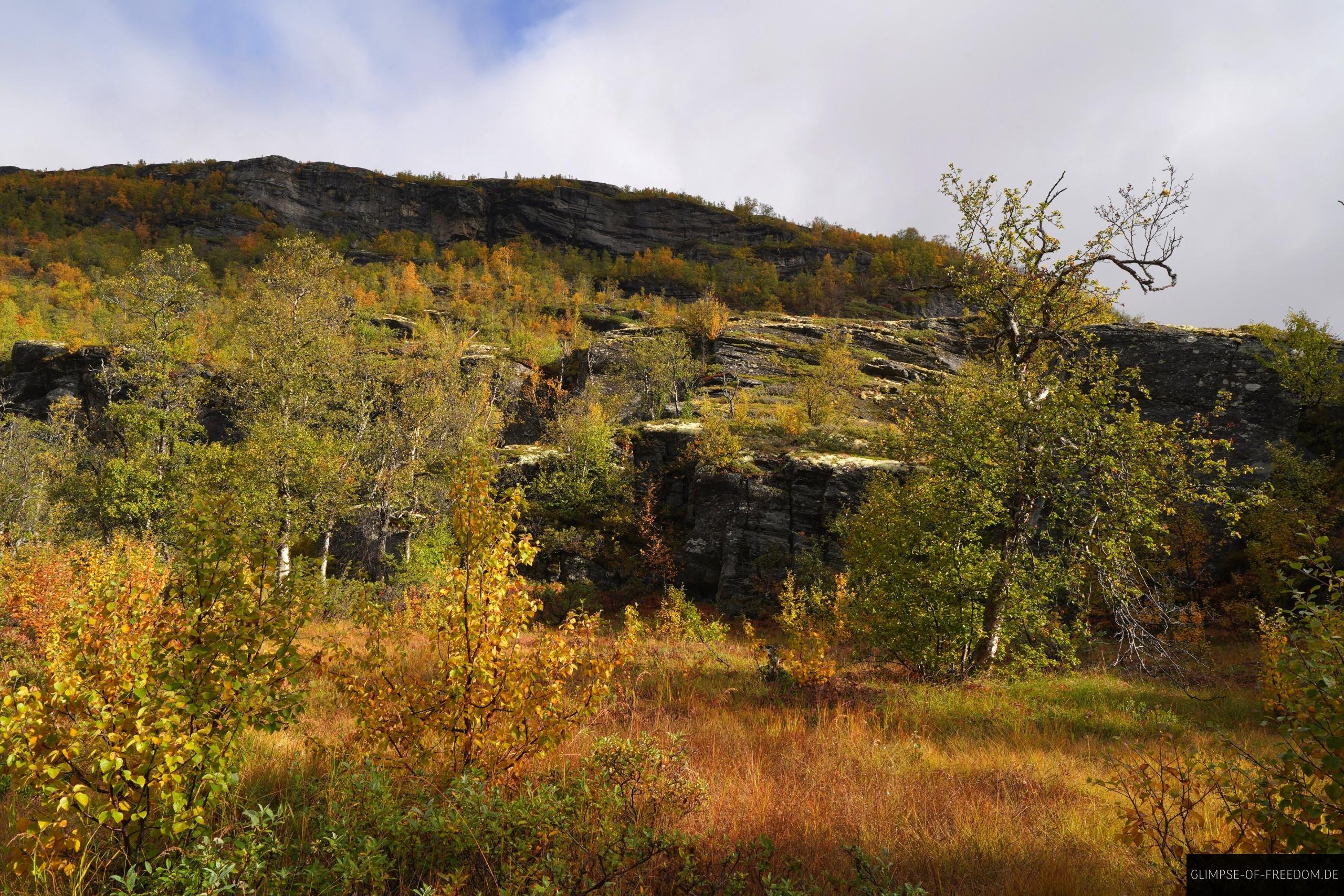 Die Natur lebt im Aurlandsdalen Die Natur lebt im Aurlandsdalen