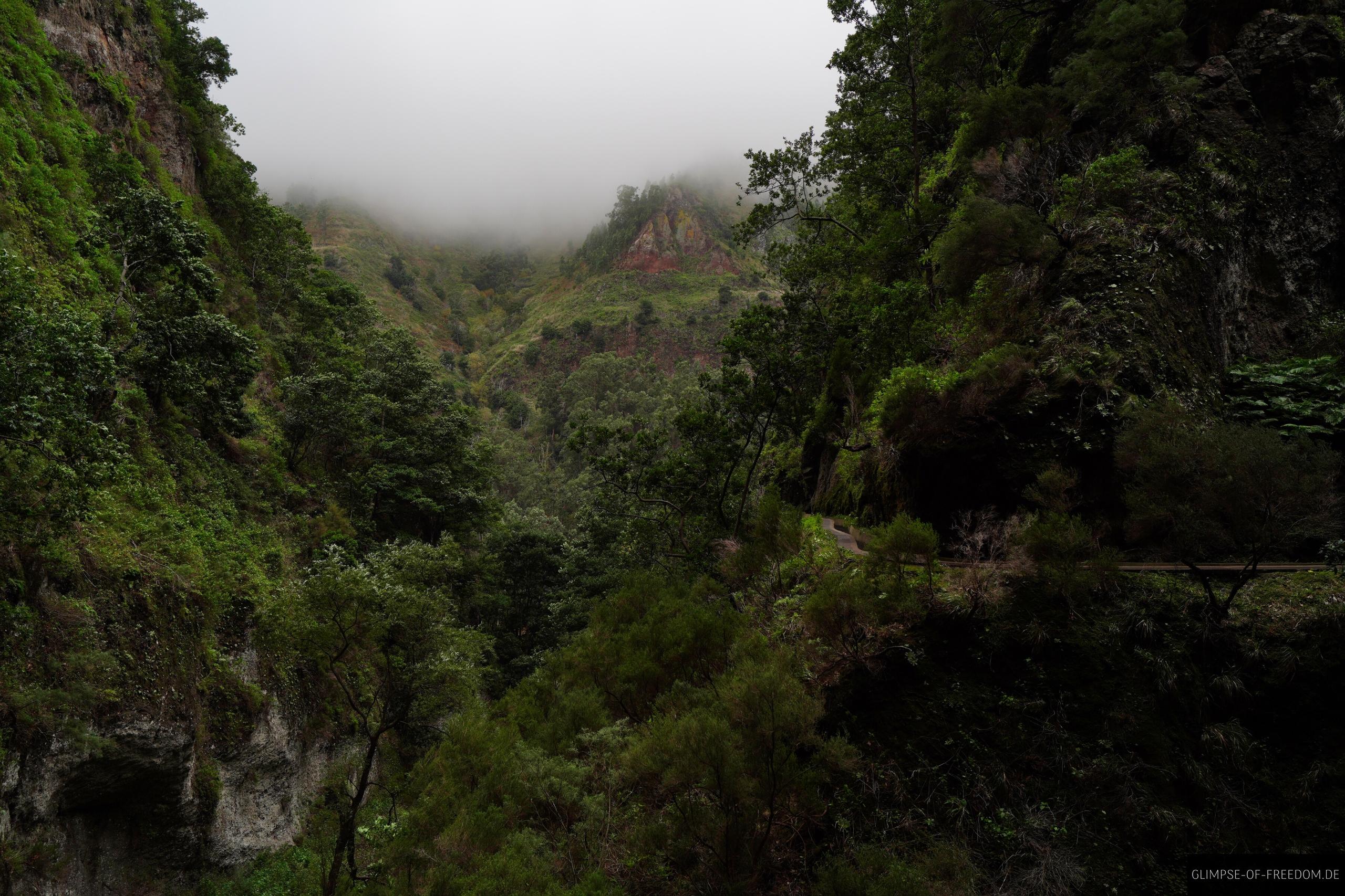 Dschungel am Wasserfall auf Madeira