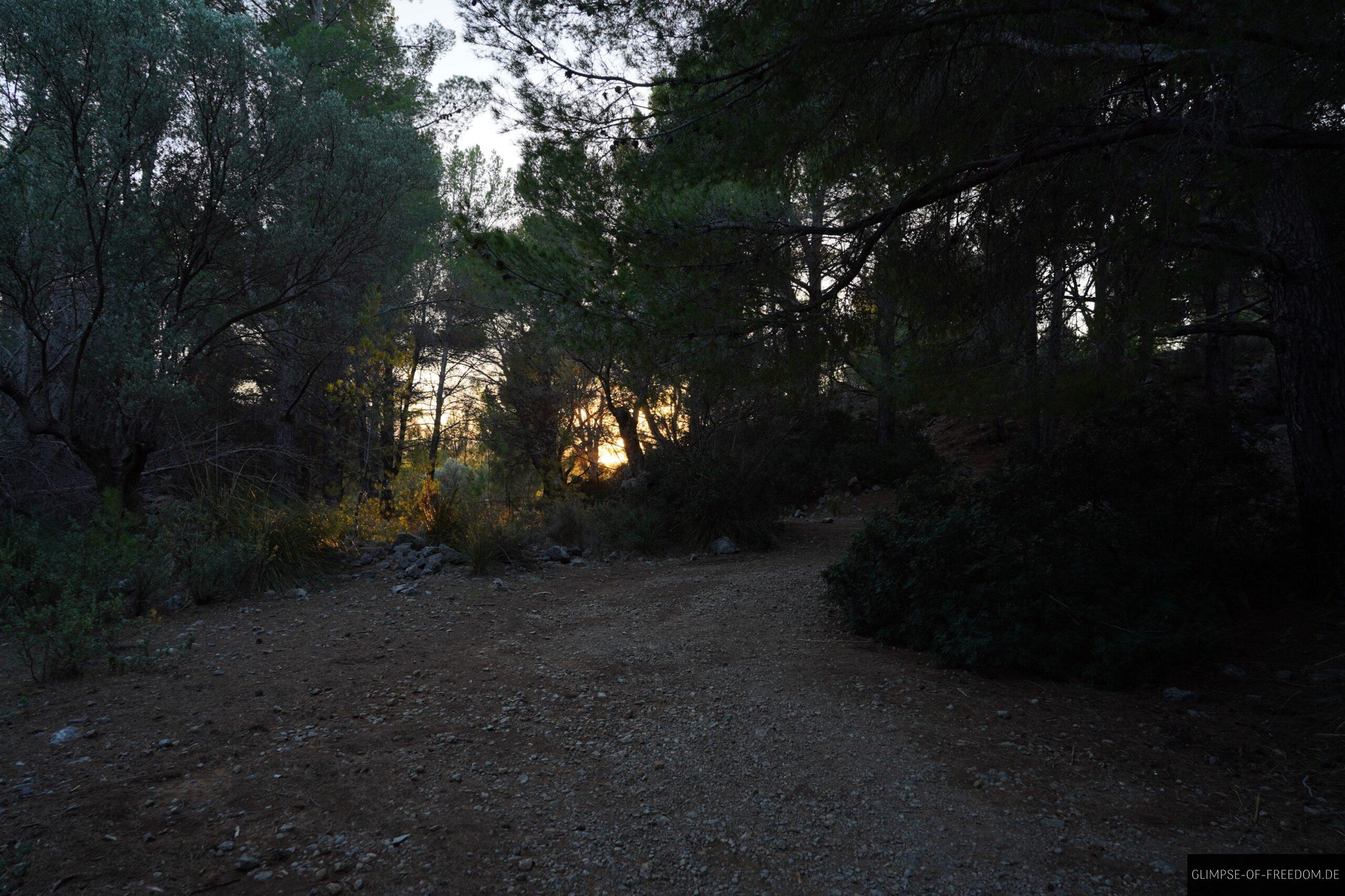 Durch den Wald zum Torre Picada scaled Durch den Wald zum Torre Picada