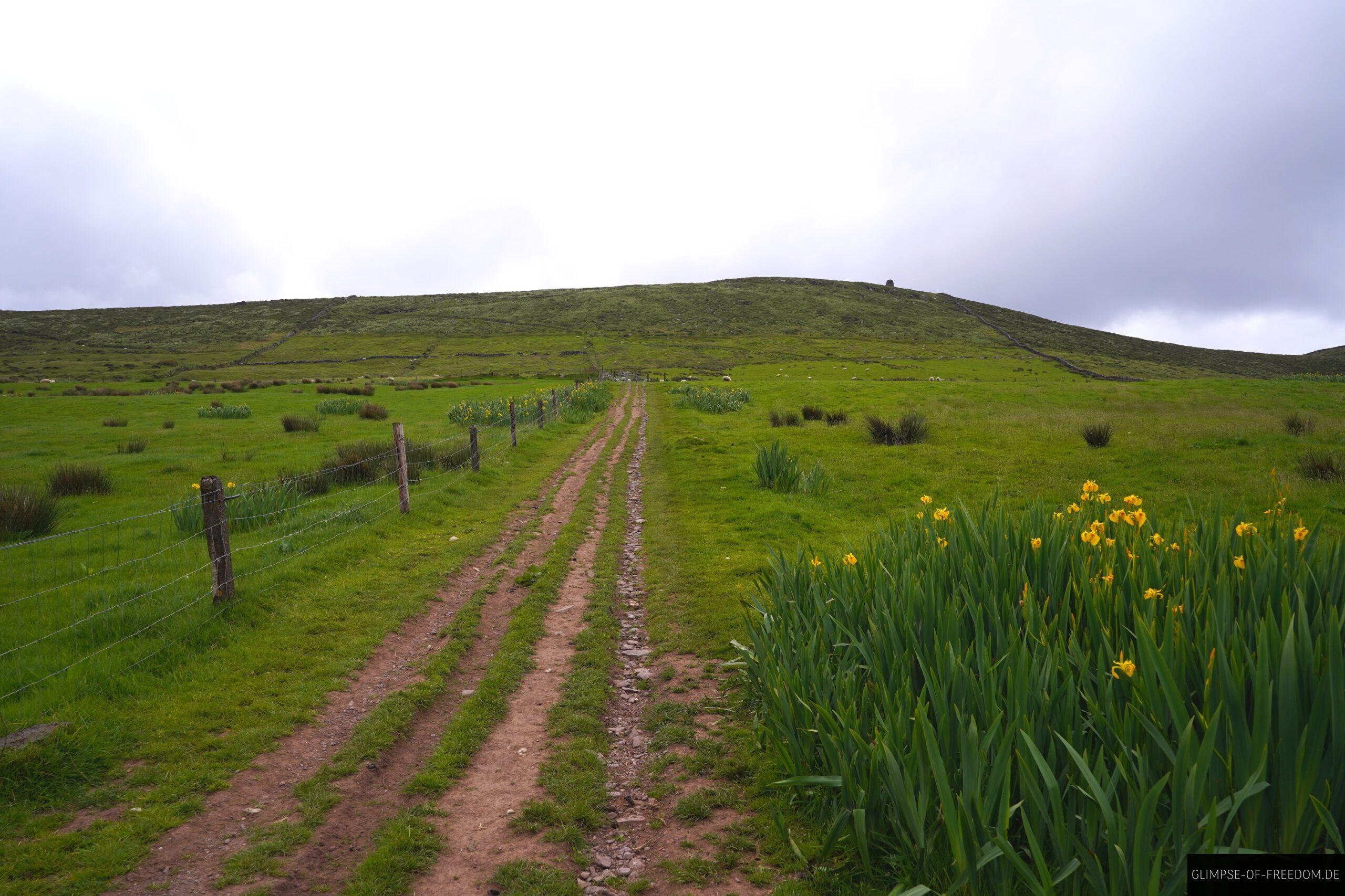 Eask Tower Wanderung scaled Eask Tower Wanderung