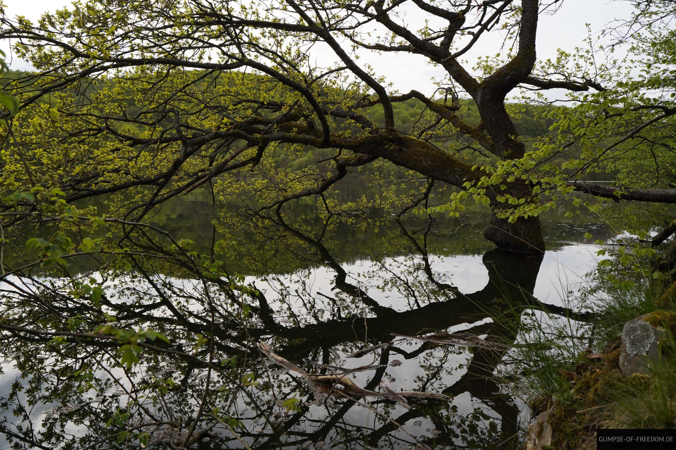 Edersee Ufer scaled Edersee Ufer