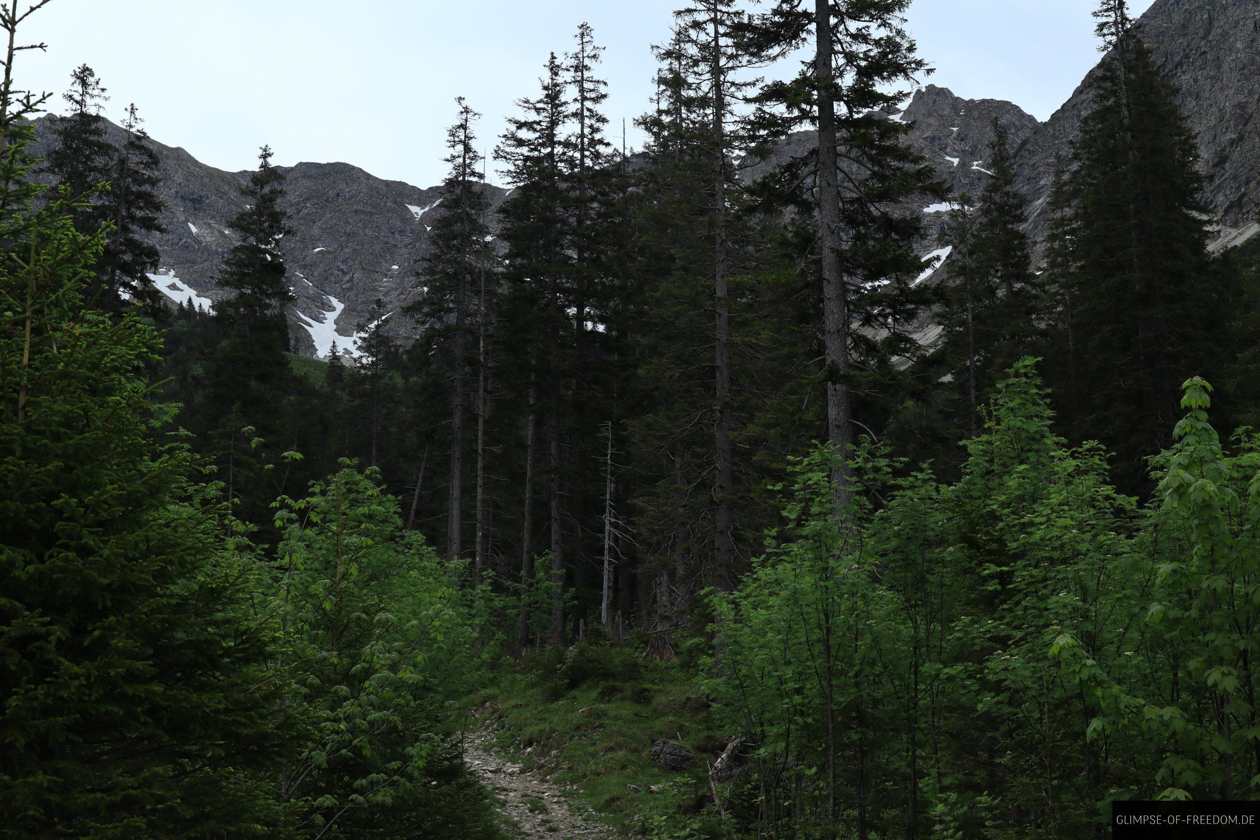 Ein erster Blick auf die Bergkette um die Rotspitze im Allgaeu scaled Ein erster Blick auf die Bergkette um die Rotspitze im Allgäu