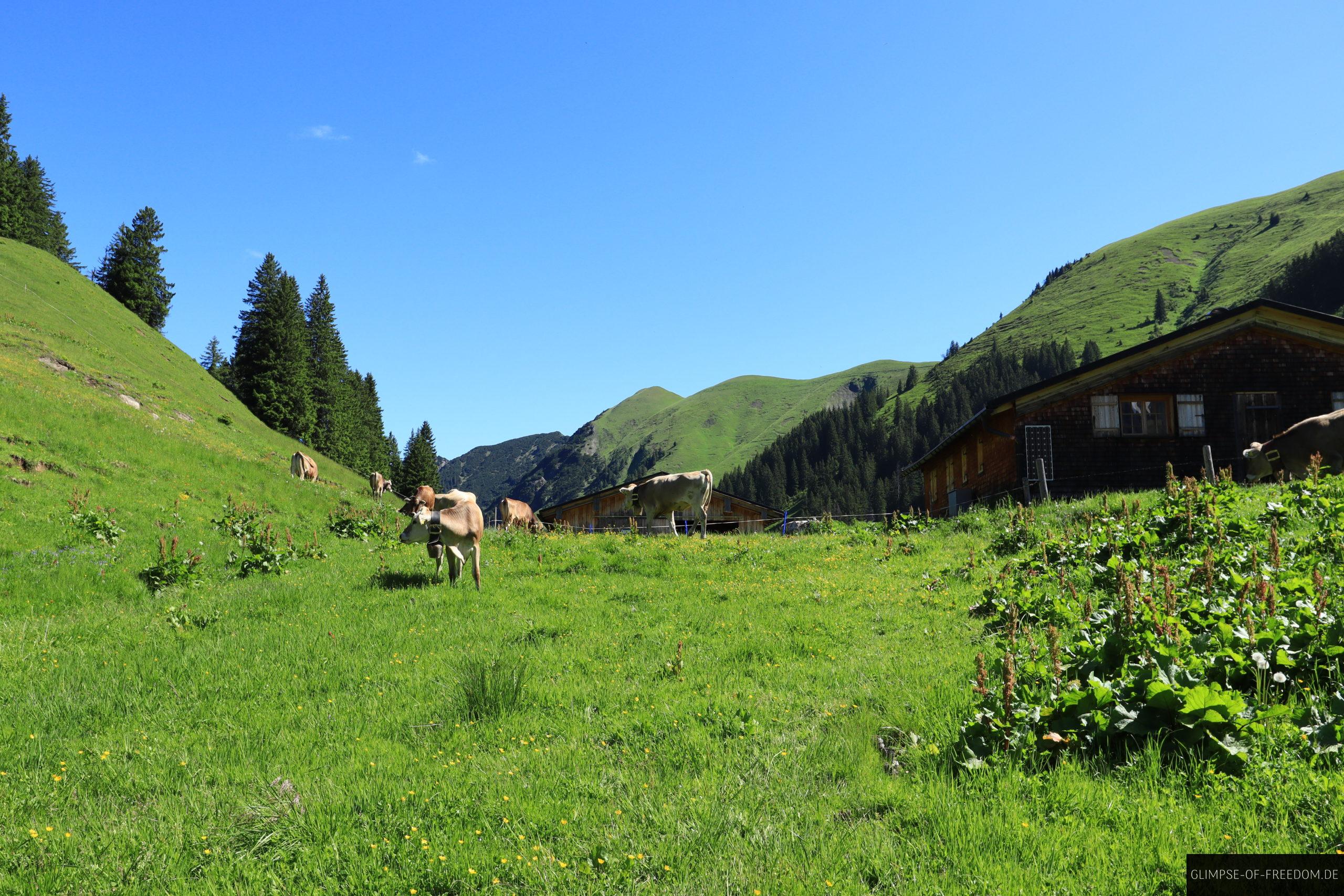 Einoedsberg scaled Einödsberg