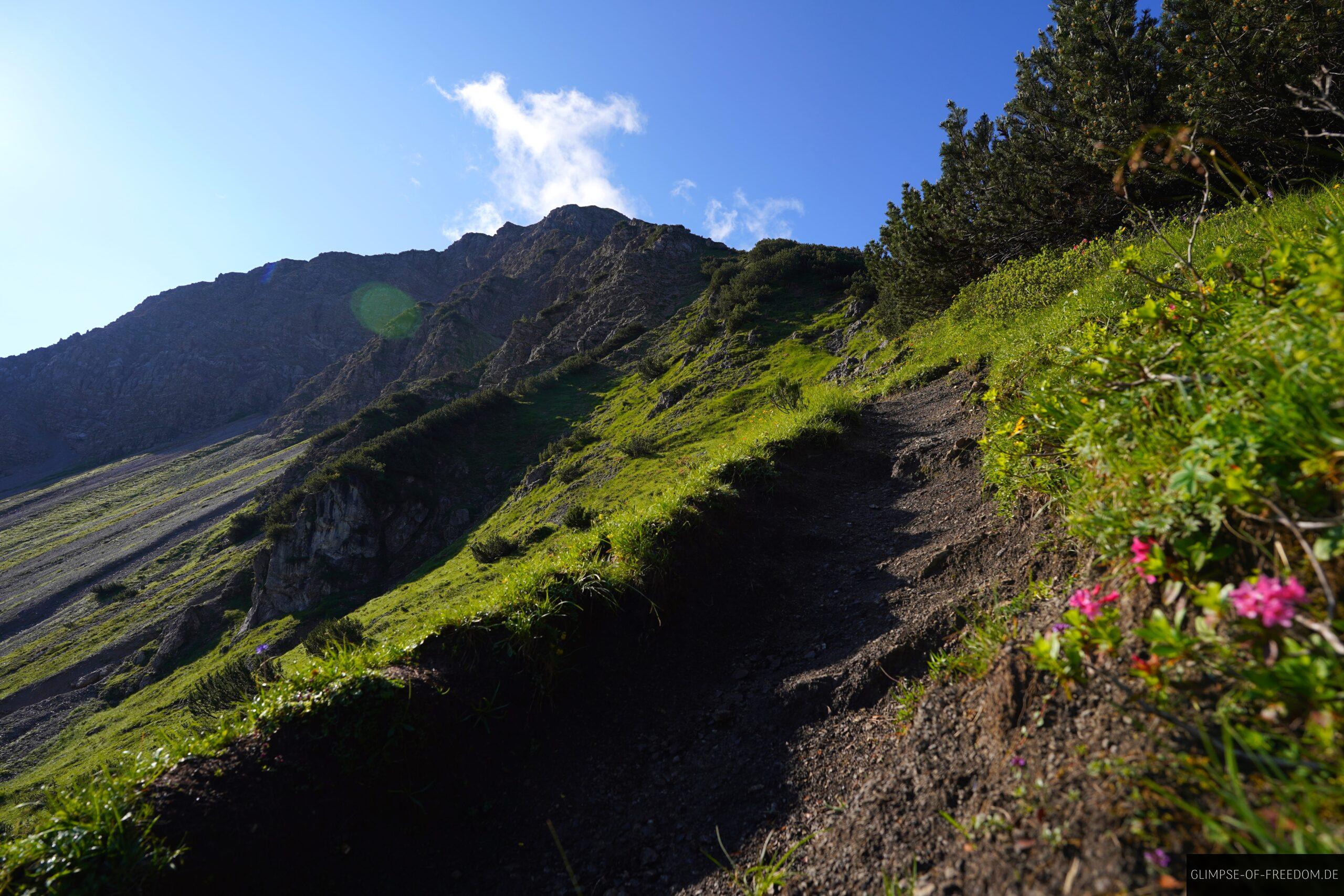 Entschenkopf Wanderweg scaled Entschenkopf Wanderweg