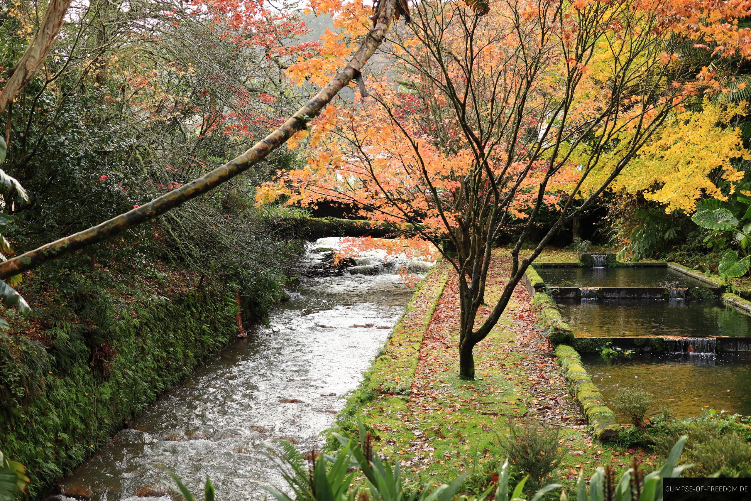 Erster Eindruck von Terra Nostra am Eingang scaled Erster Eindruck von Terra Nostra am Eingang