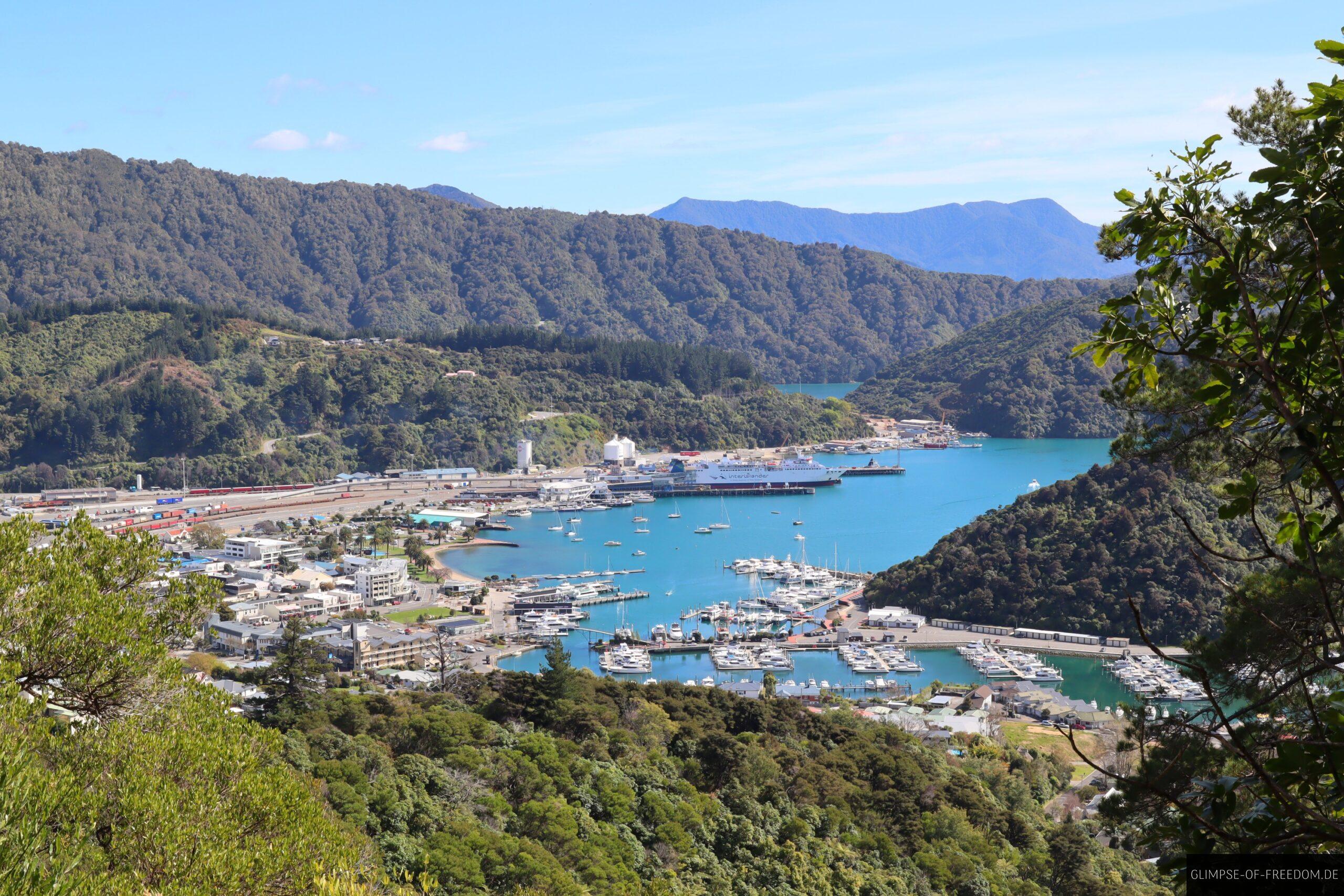 Erster wunderschoener Fjordblick auf dem Tirohanga Track scaled Erster wunderschöner Fjordblick auf dem Tirohanga Track