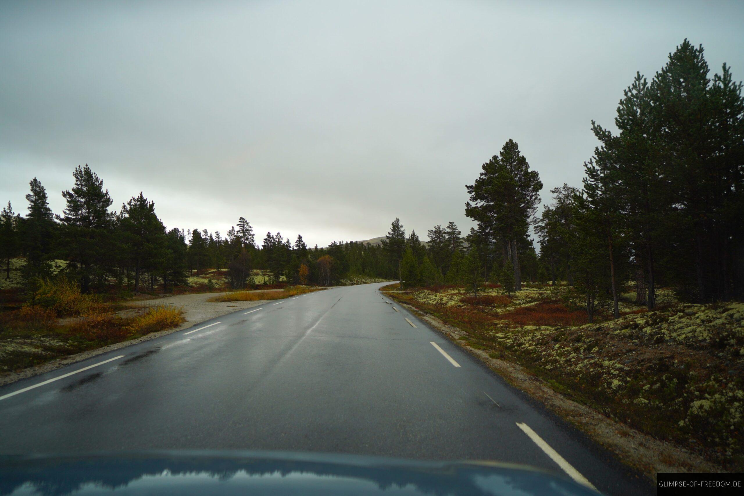 Fahrt auf der Rondane Landschaftsstraße