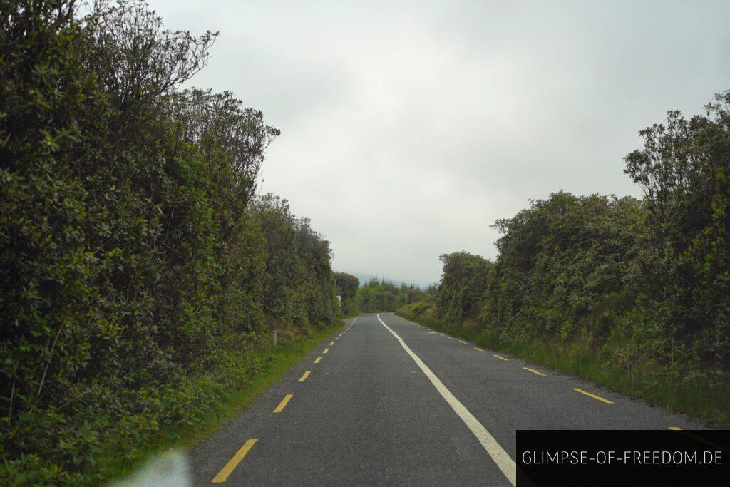 Auf Welcher Seite Fhrt Man In Irland