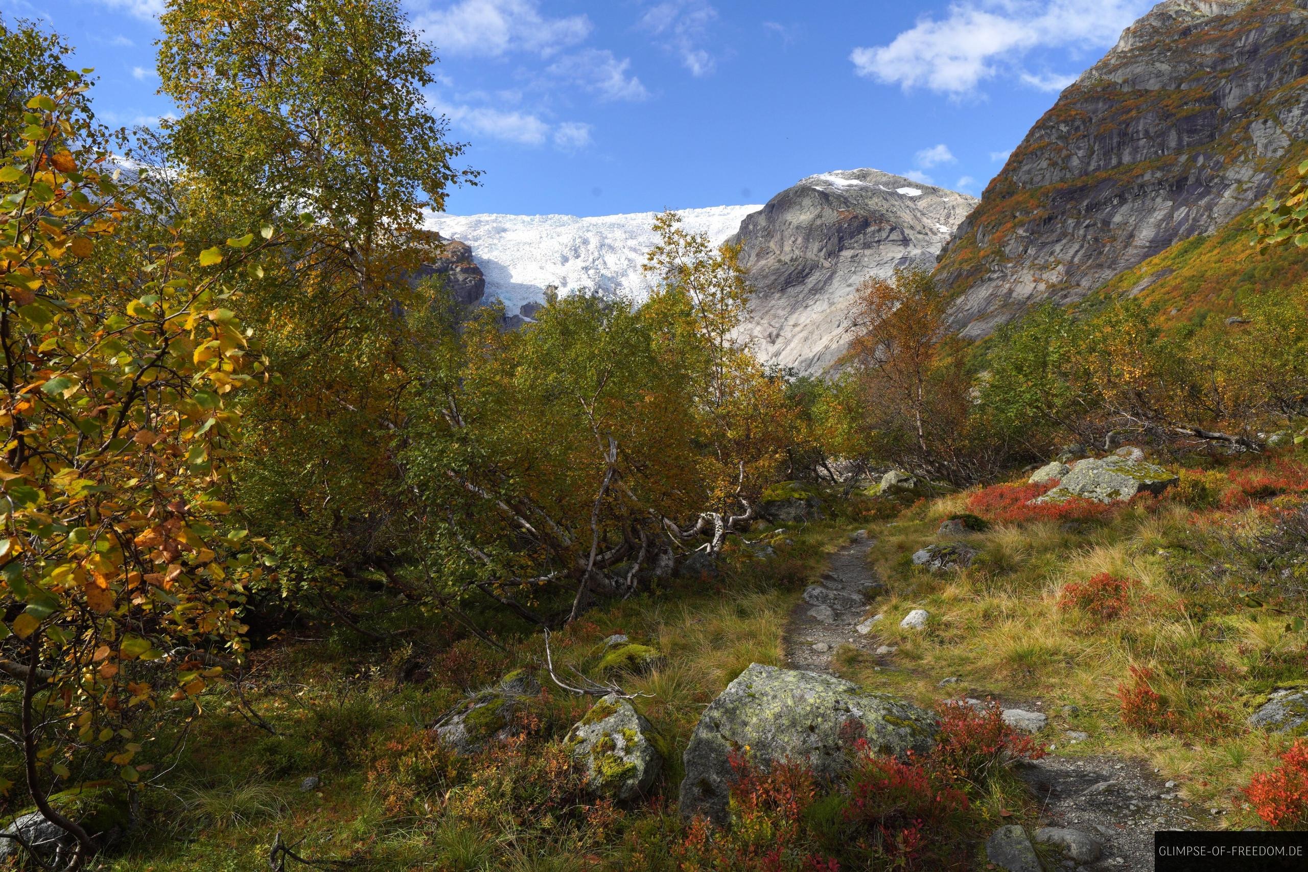 Farbenfrohe Umgebung am Bergsetbreen Farbenfrohe Umgebung am Bergsetbreen