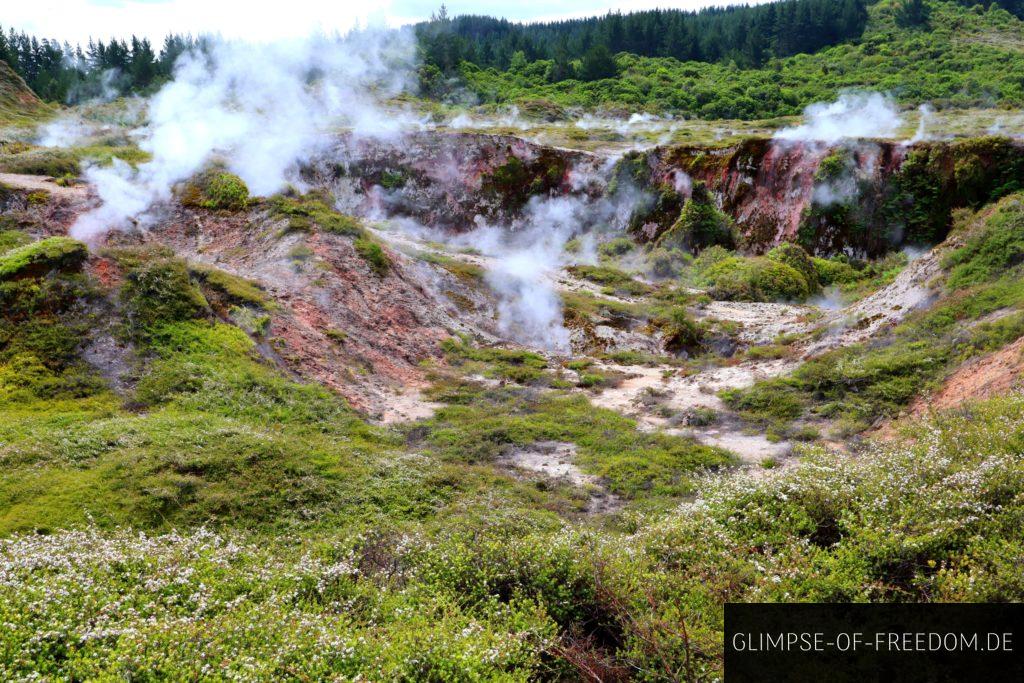 Farbenfrohe Umgebung in den Craters of the Moon Neuseeland