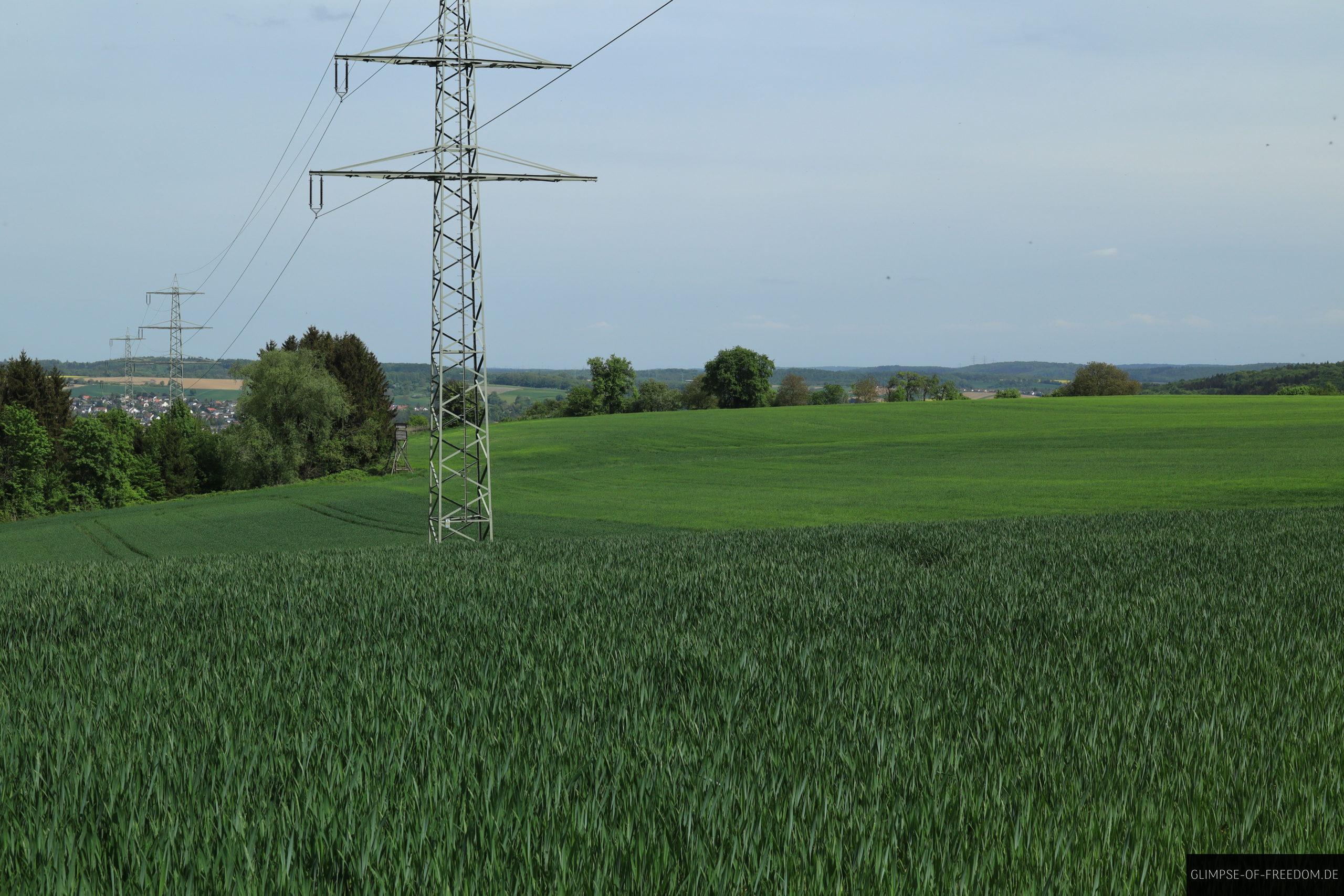 Felder am Evolutionsweg in Gauangelloch scaled Felder am Evolutionsweg in Gauangelloch