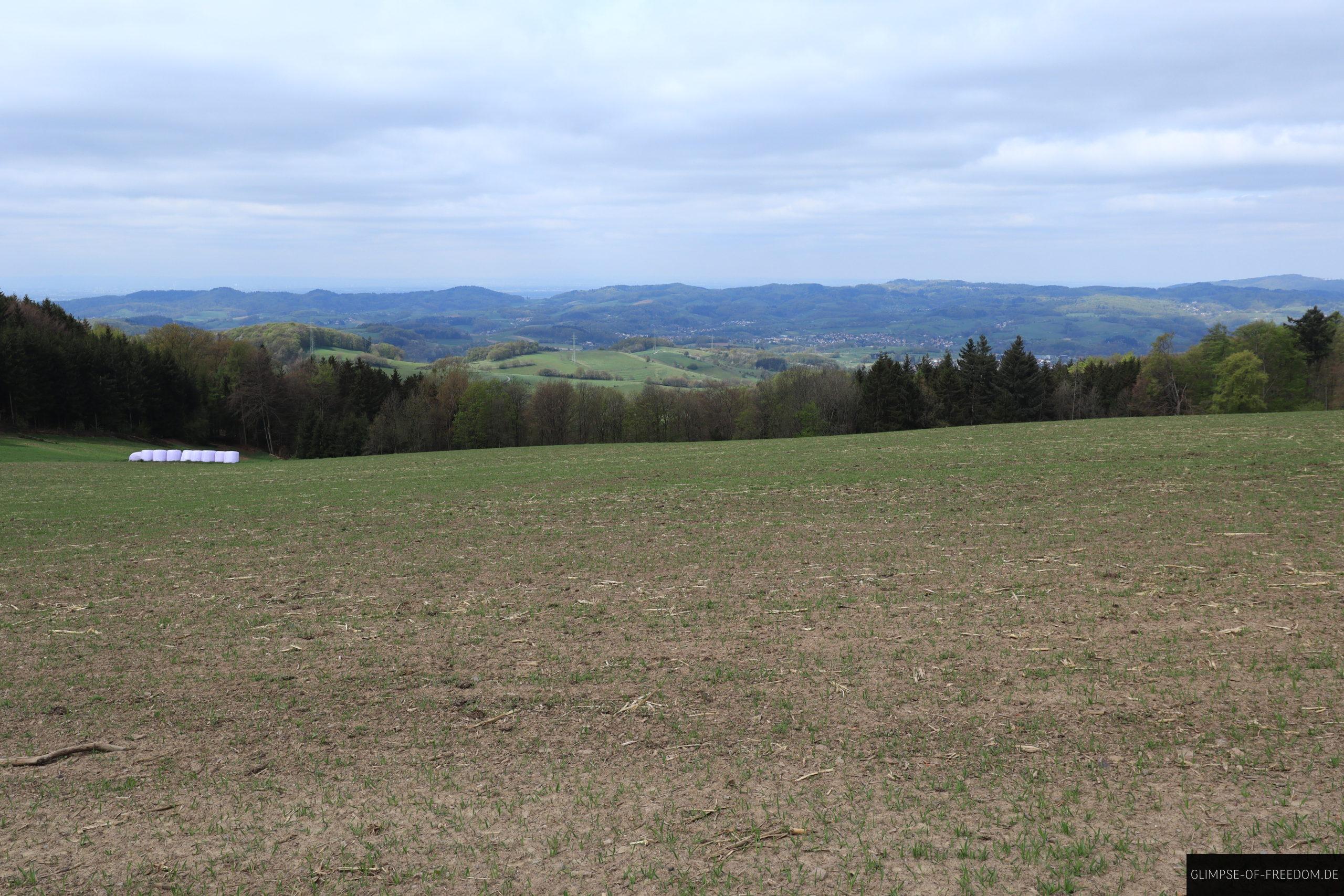 Felder mit Aussicht scaled Felder mit Aussicht