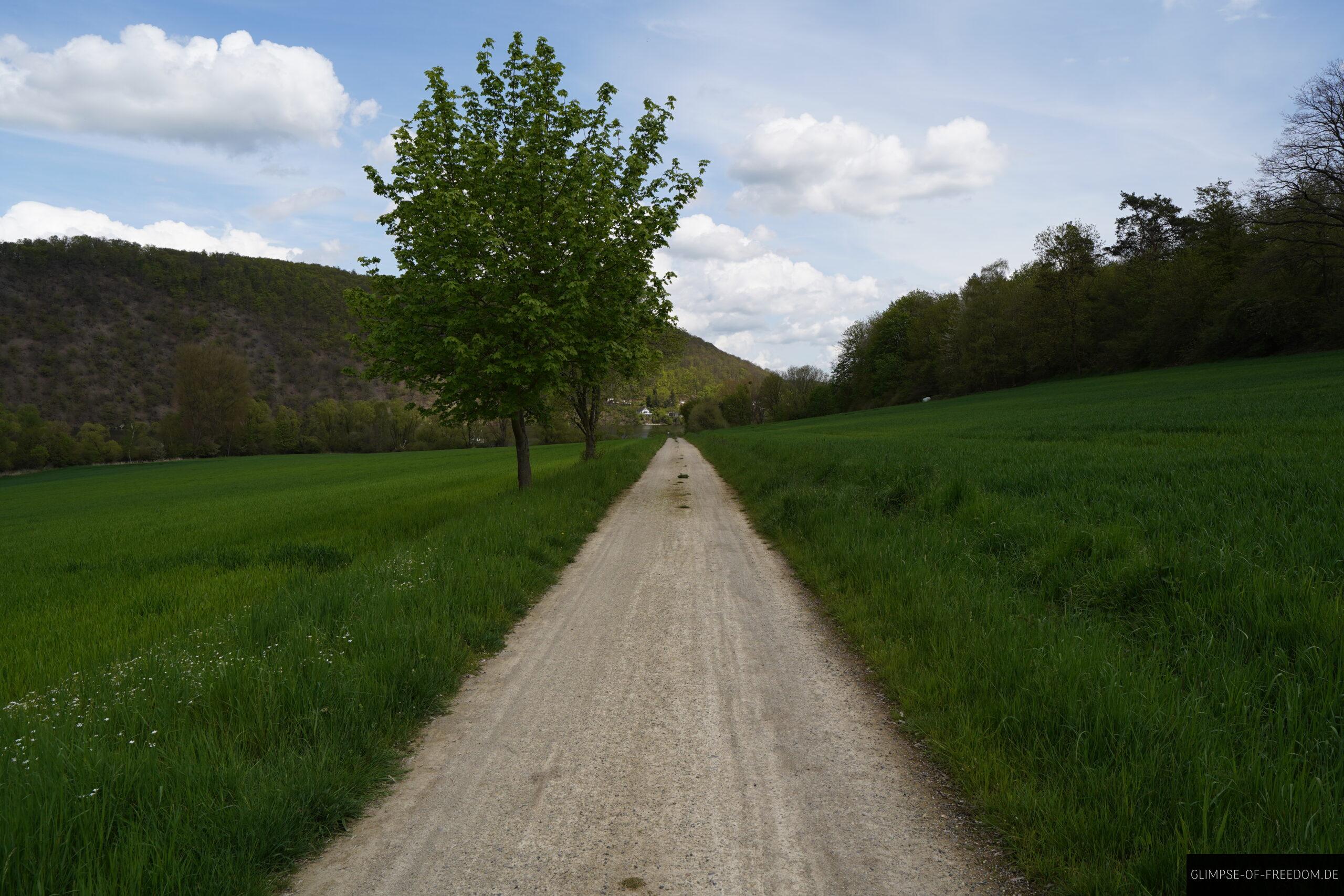 Feldweg am Edersee scaled Feldweg am Edersee