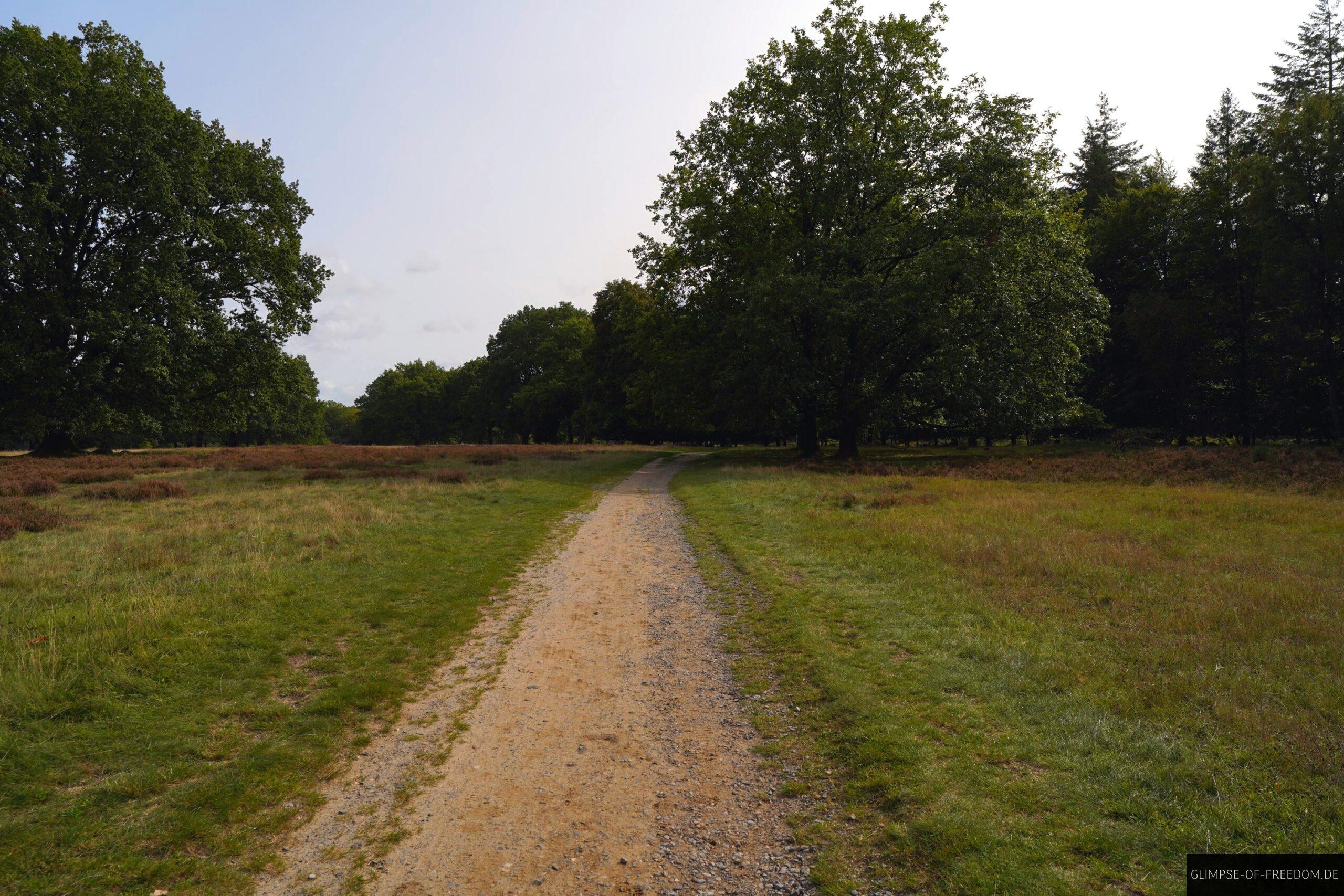 Feldweg in der Lueneburger Heide scaled Feldweg in der Lüneburger Heide