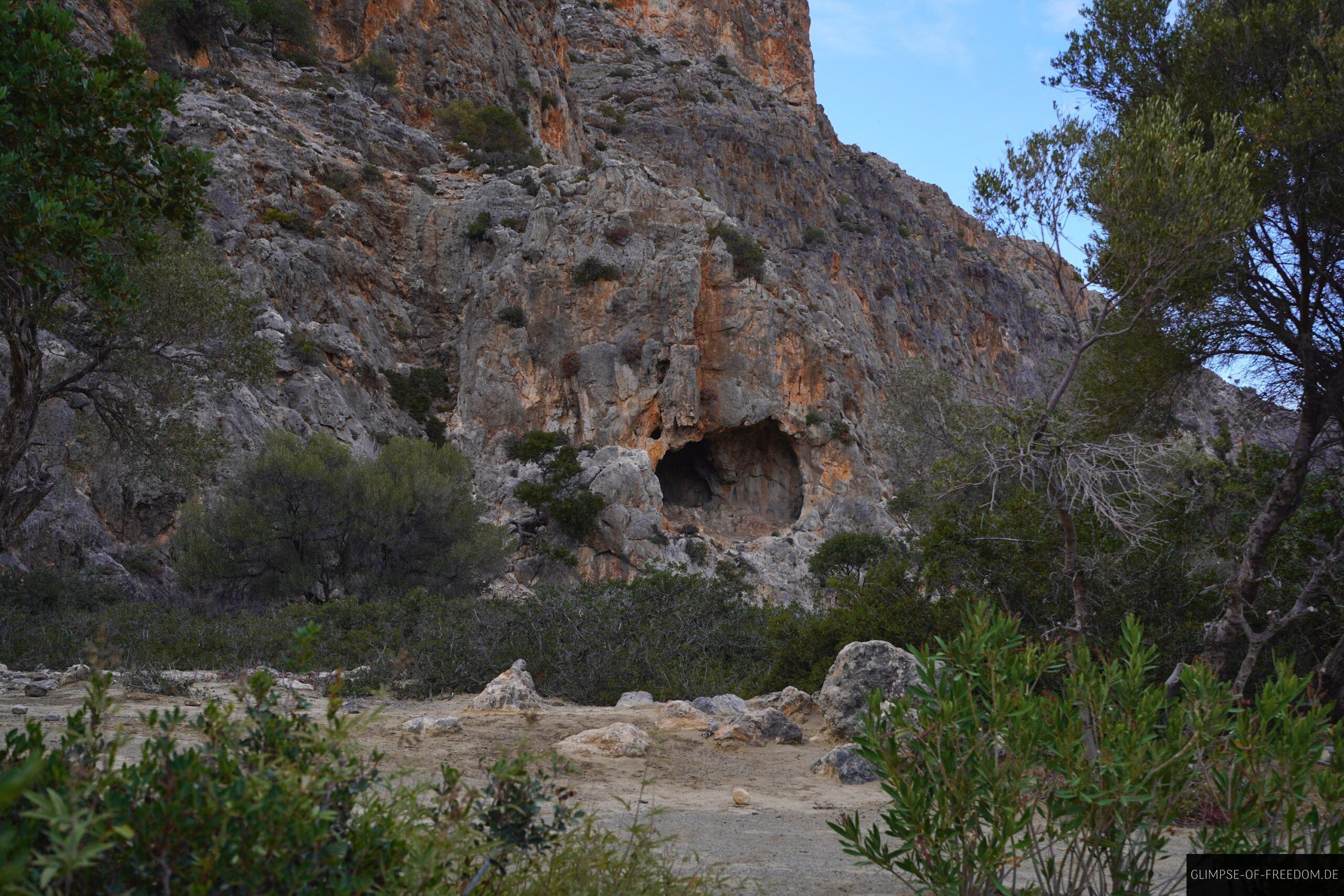 Felsen Pflanzen Hoehlen scaled Felsen Pflanzen Höhlen
