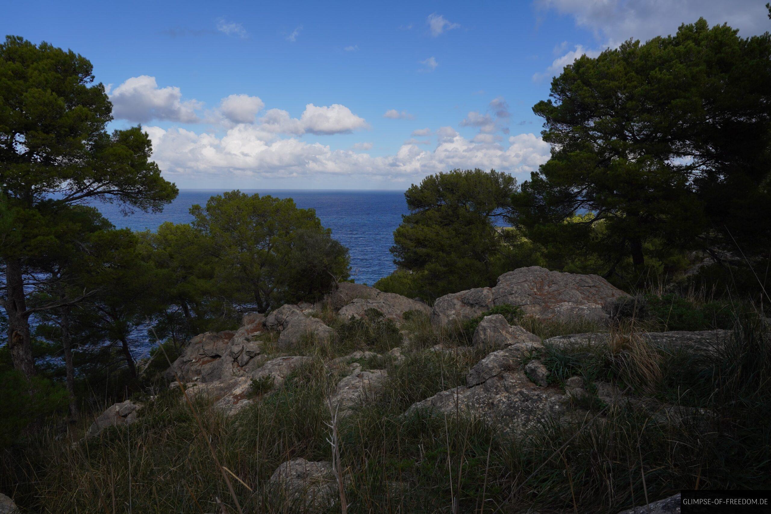 Felsen und Baeume auf der Kuestenwanderung Port de Soller scaled Felsen und Bäume auf der Küstenwanderung Port de Soller