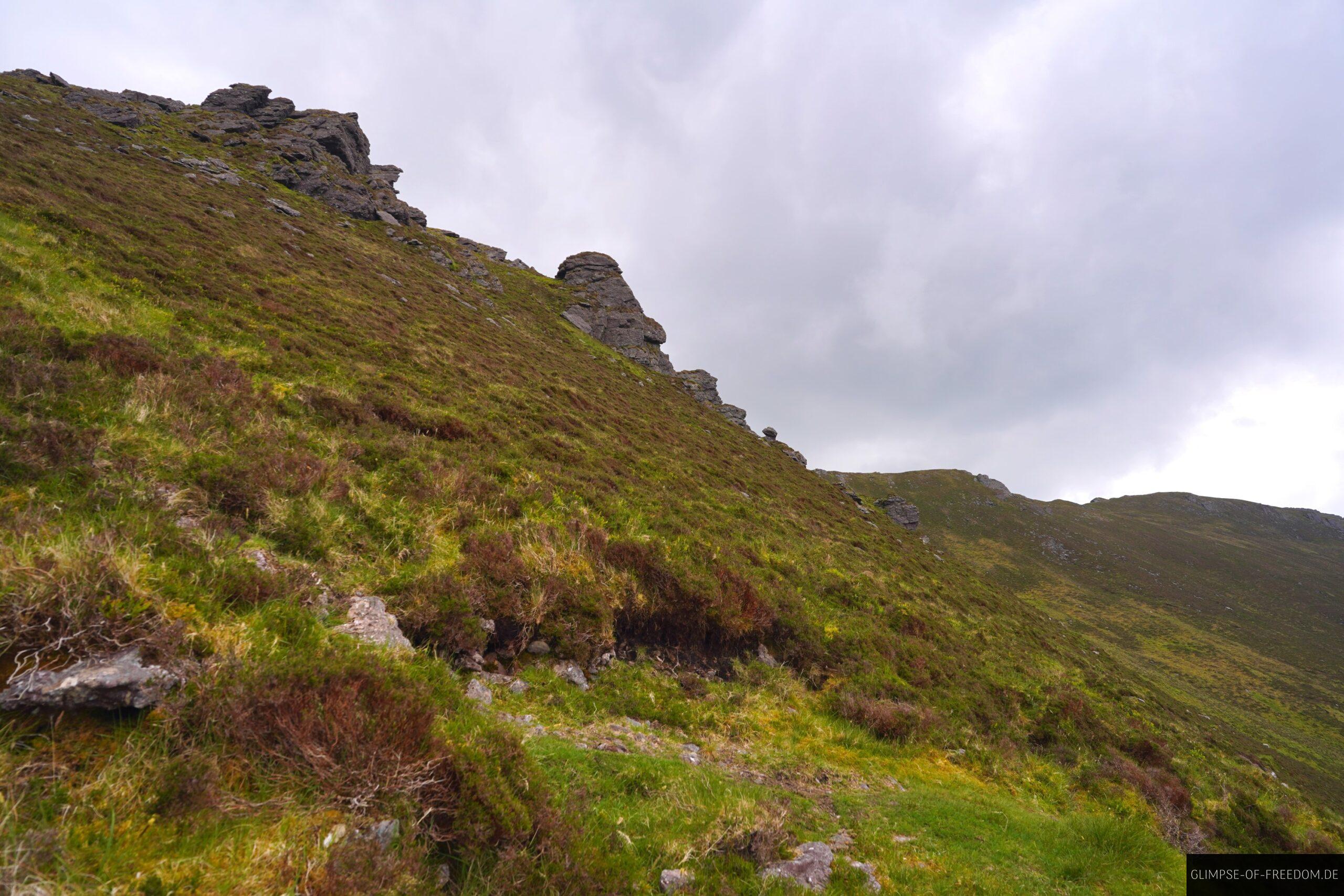 Felsen und Graeser scaled Felsen und Gräser