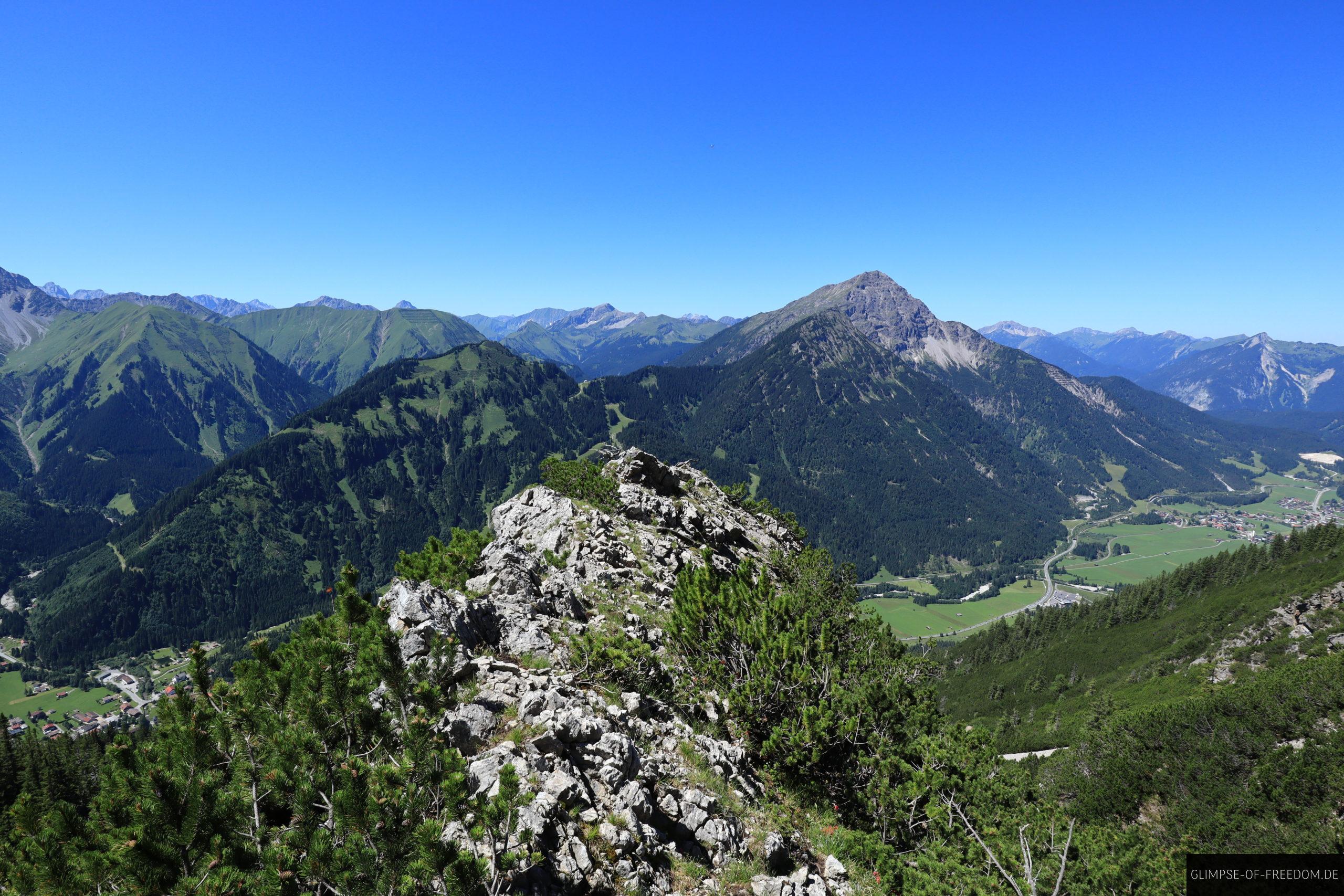 Felsen und Latschen im Allgaeu scaled Felsen und Latschen im Allgäu