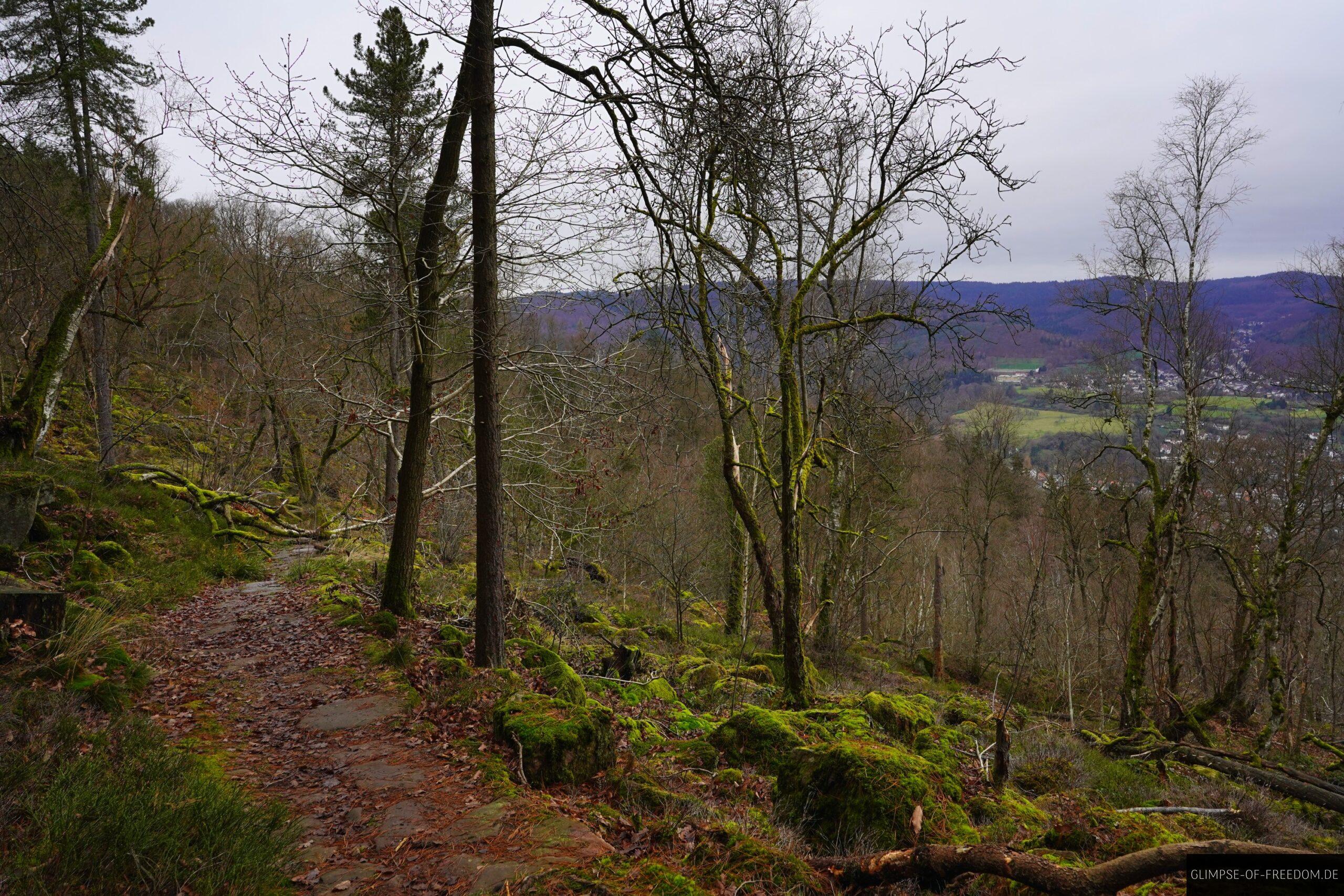 Felsenmeer am Koenigstuhl scaled Felsenmeer am Königstuhl