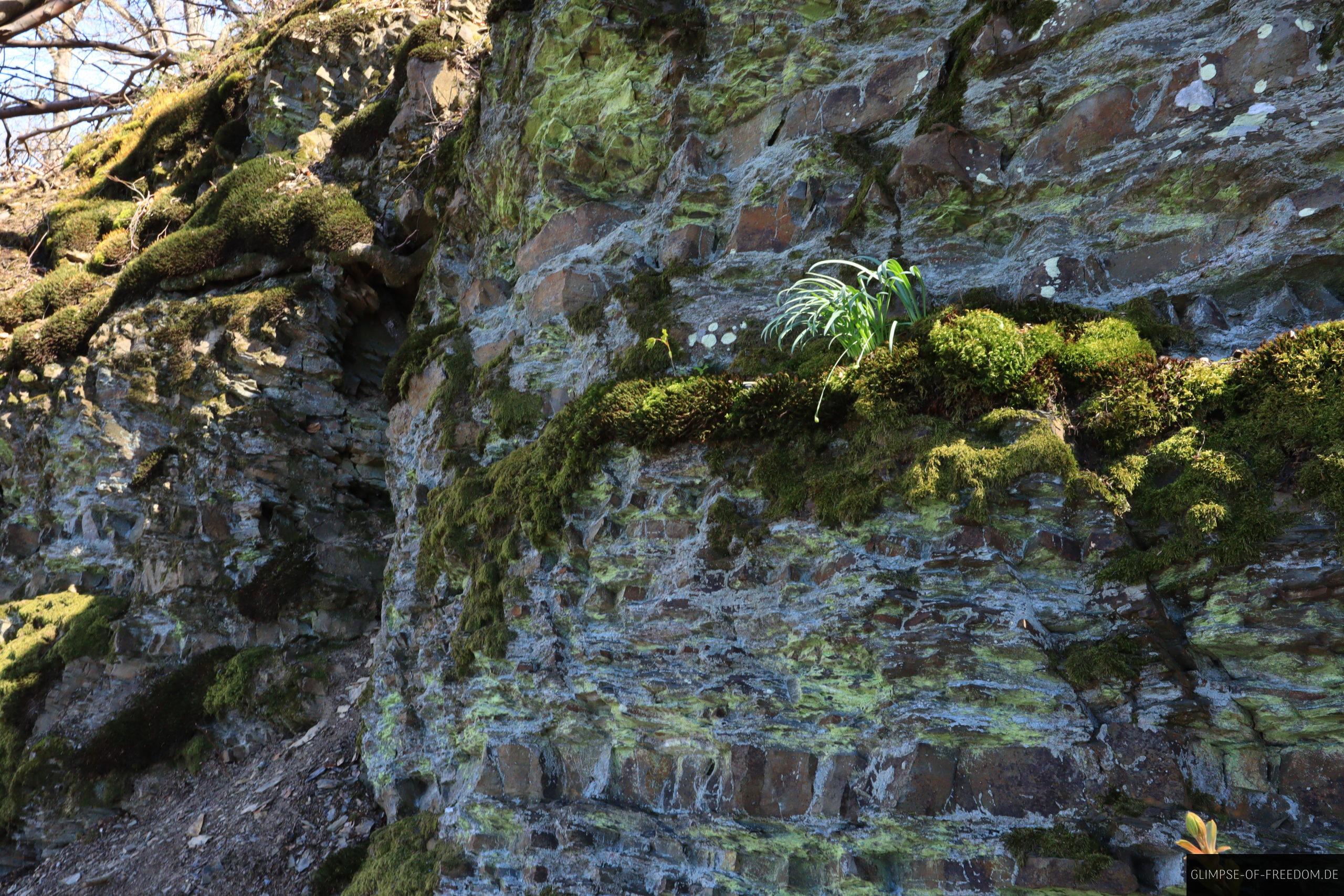 Felsformation mit Moos scaled Felsformation mit Moos