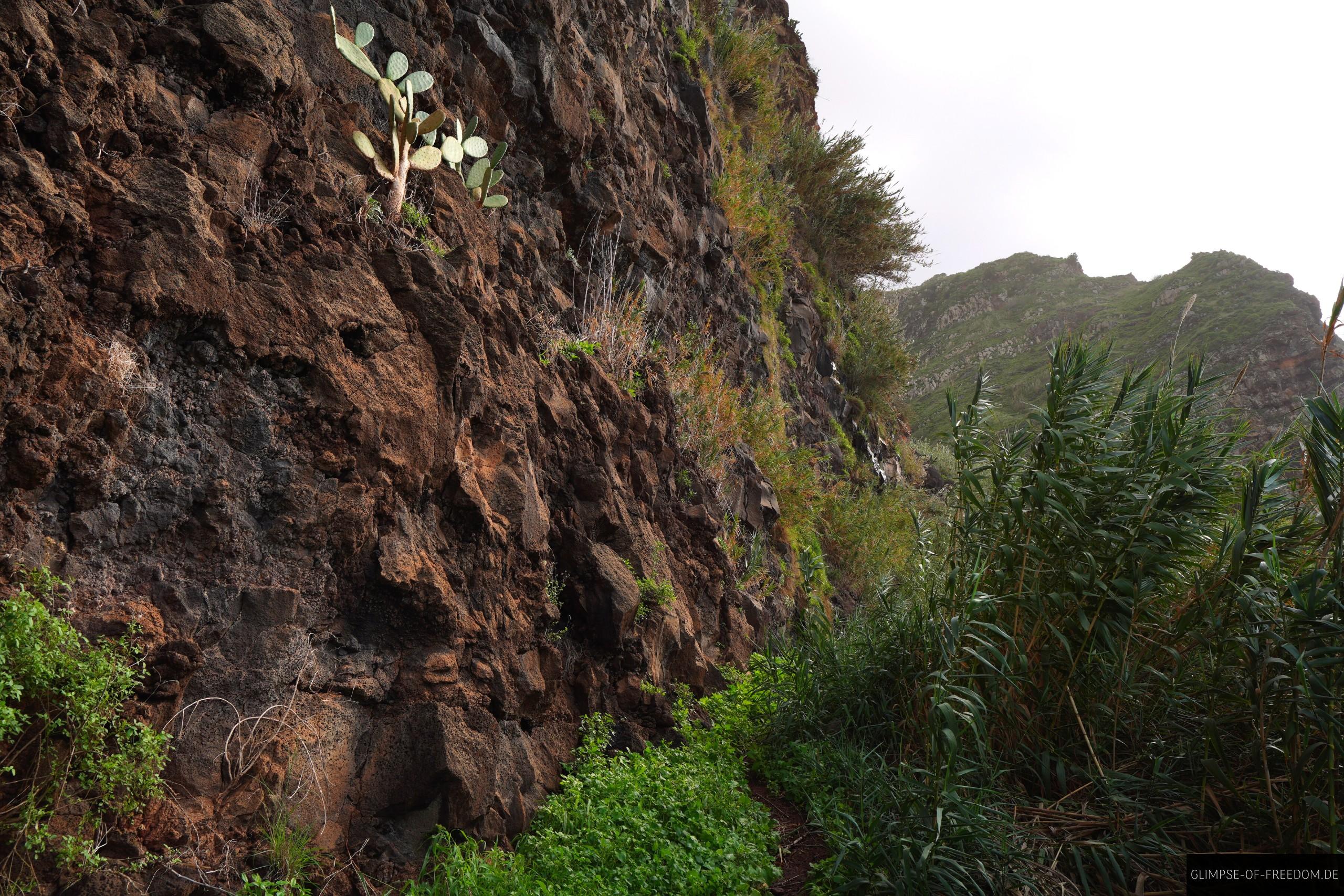 Felswand an der Küste auf Madeira