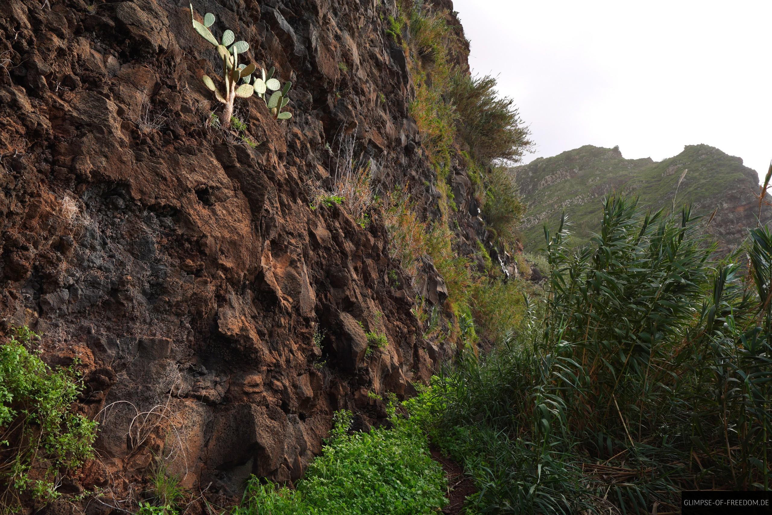 Felswand an der Kueste auf Madeira Felswand an der Küste auf Madeira