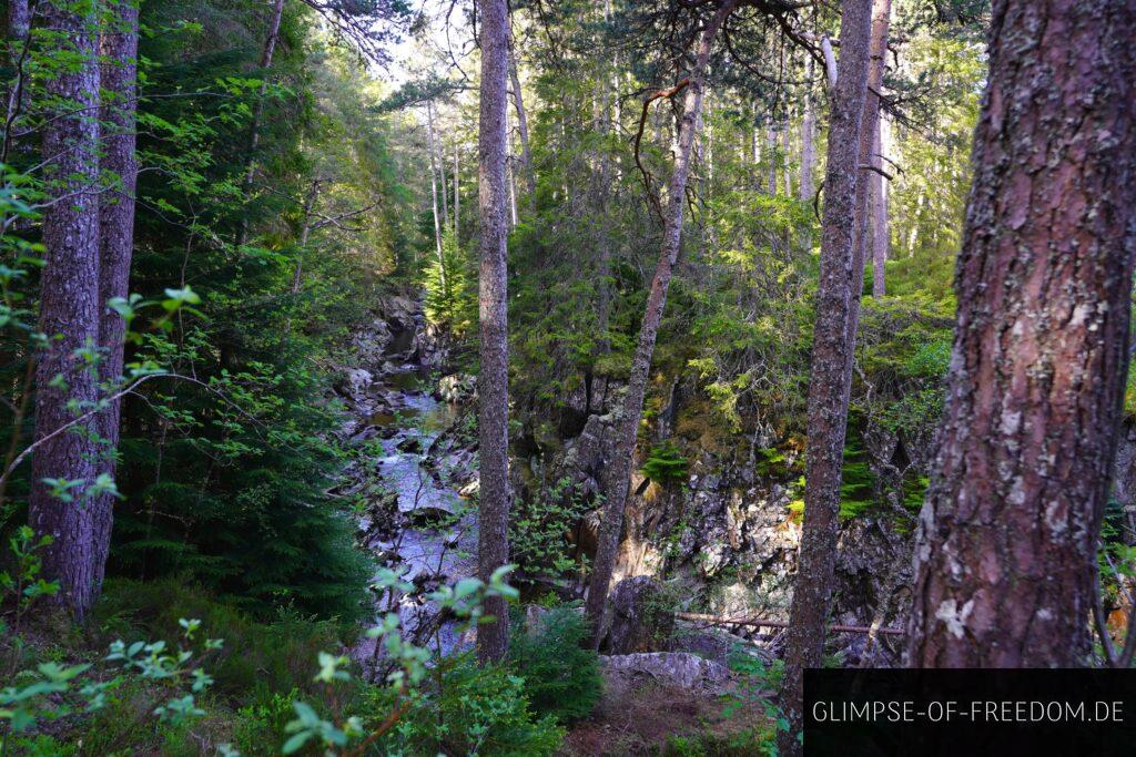 Flussblick an den Pattack Falls