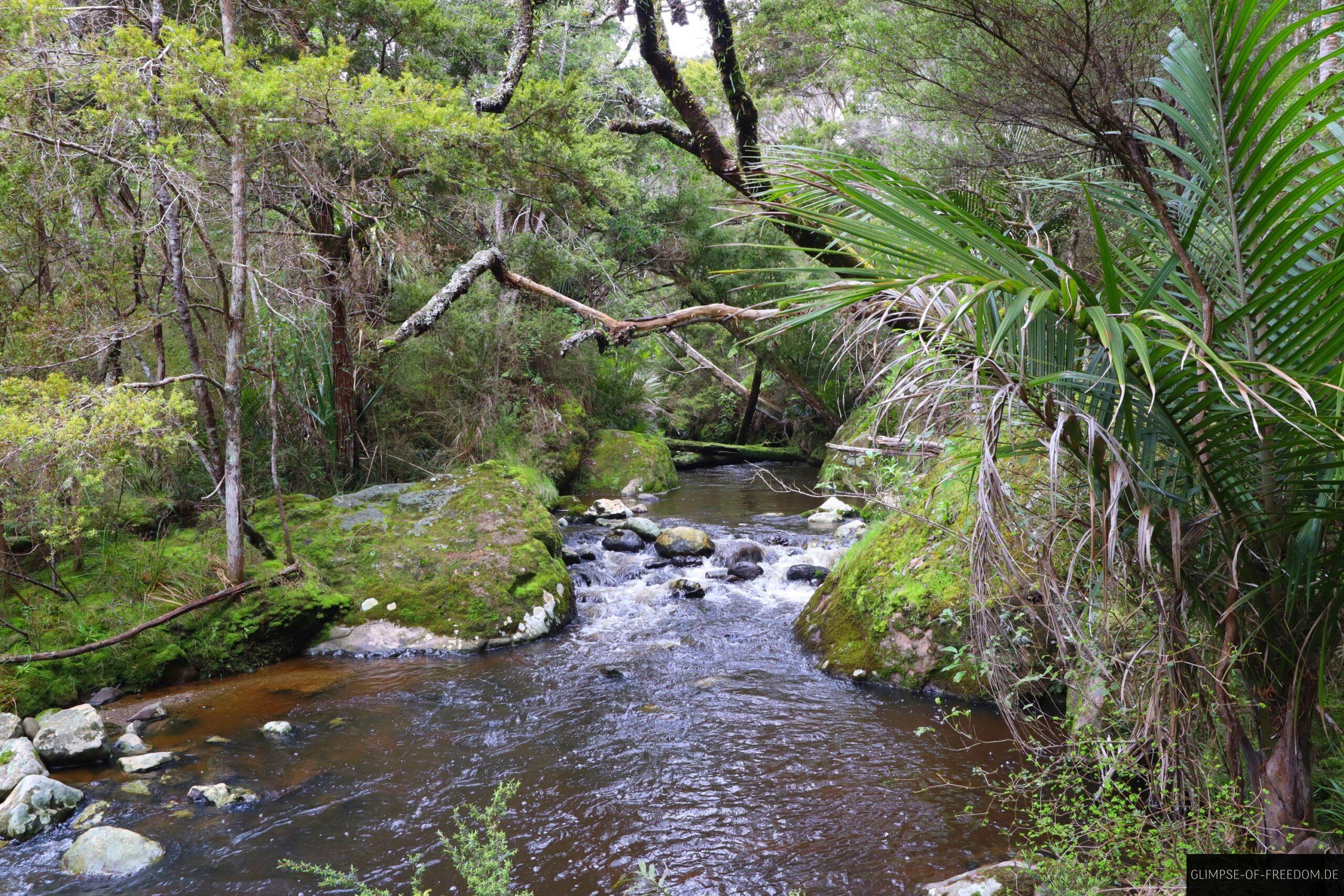 Flusslauf an im Wairere Boulders Park scaled Flusslauf an im Wairere Boulders Park