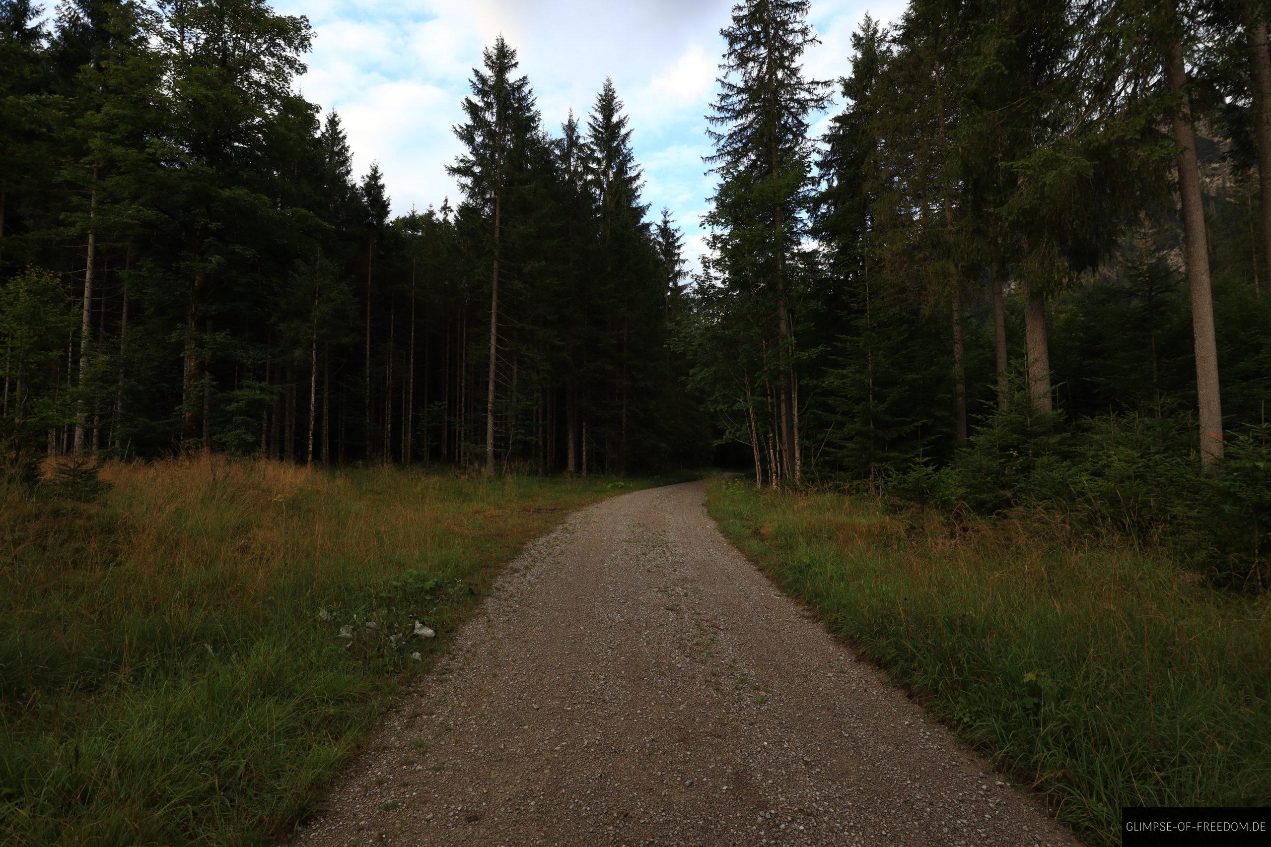 Forstweg Fuerstenweg scaled Forstweg Fürstenweg