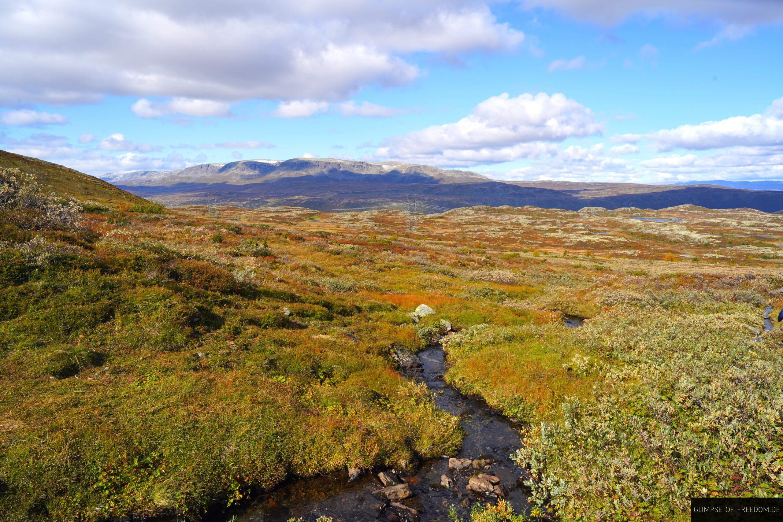 Friedlicher Bachlauf durch das Hardangervidda scaled Friedlicher Bachlauf durch das Hardangervidda