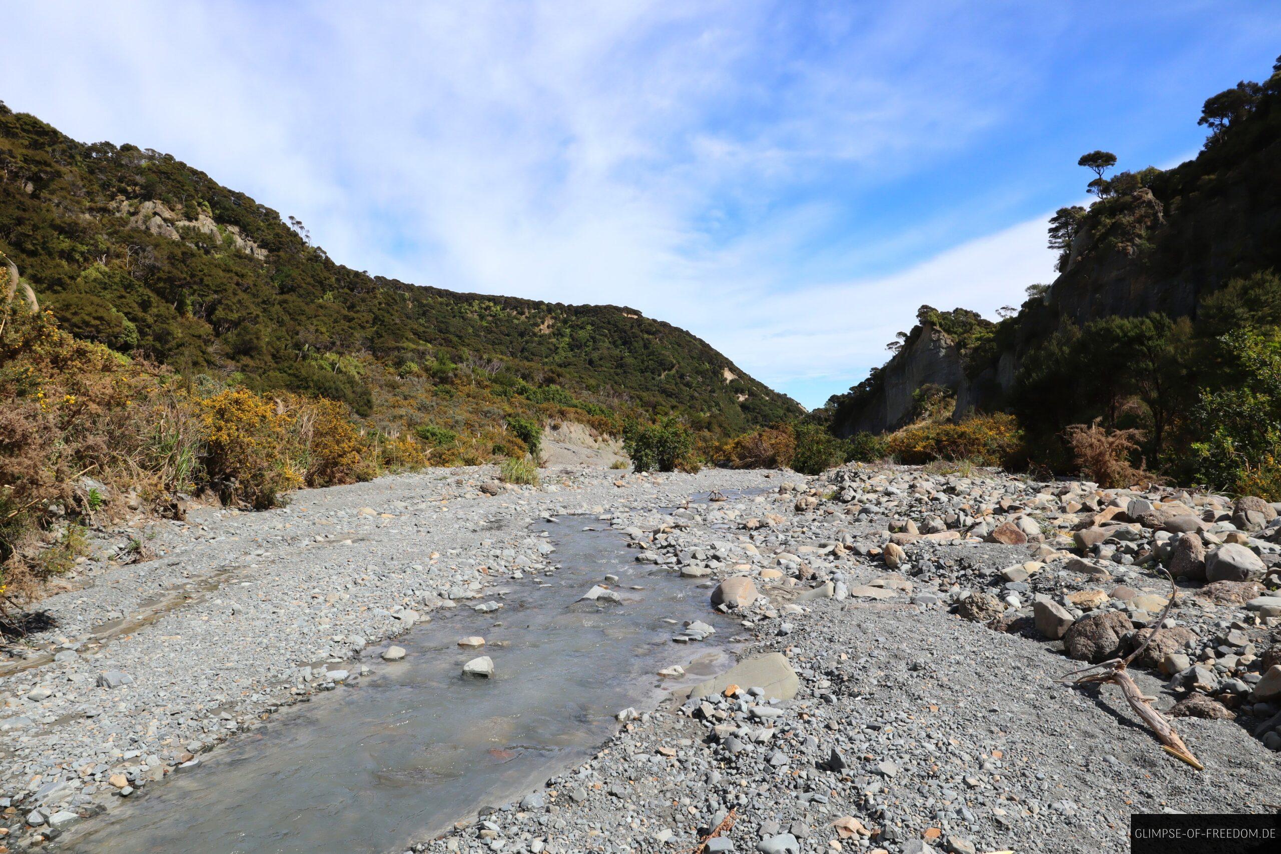 Friedlicher Bauchlauf im Naturreservat Putangirua scaled Friedlicher Bauchlauf im Naturreservat Putangirua