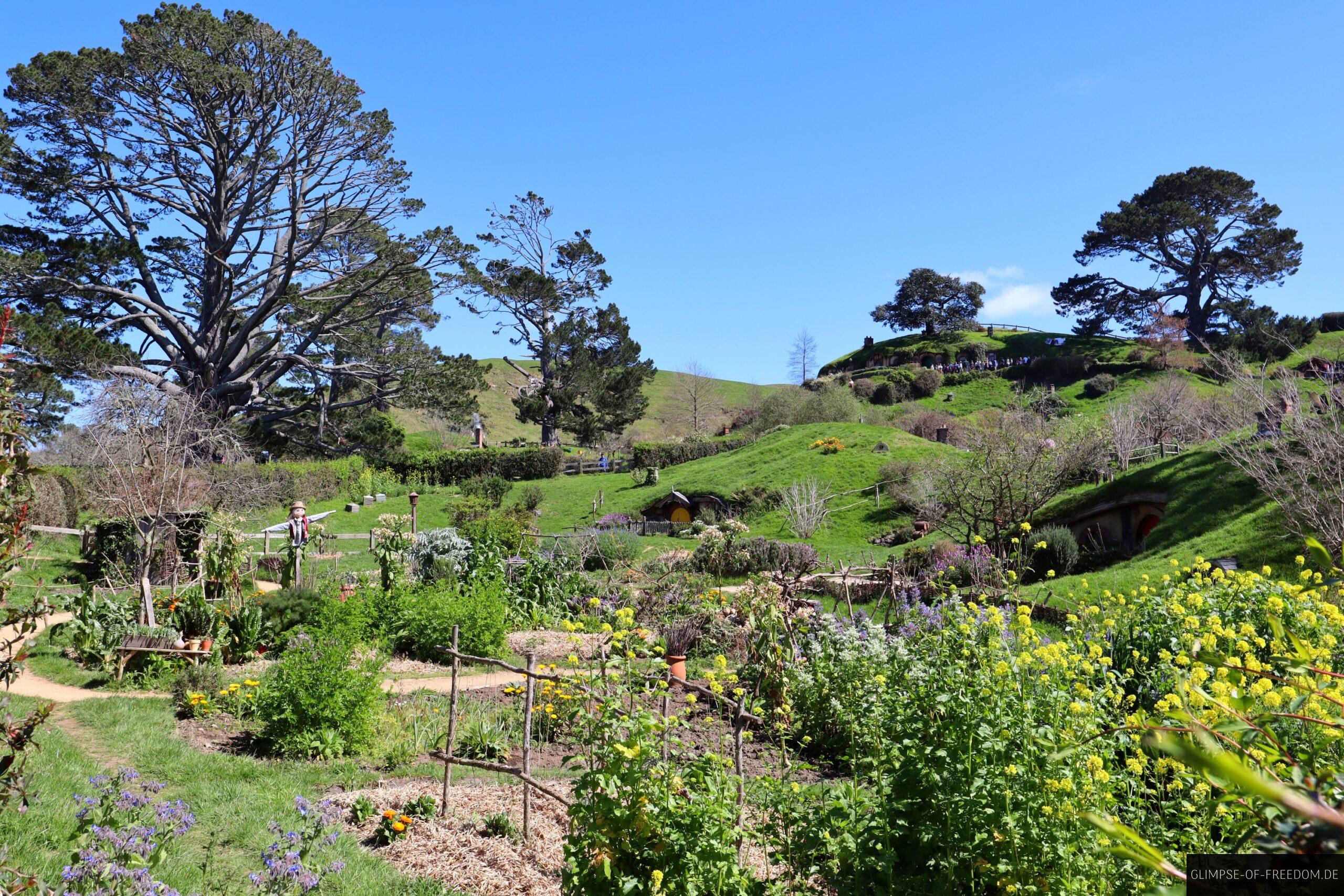 Gartenanlage in Hobbiton scaled Gartenanlage in Hobbiton