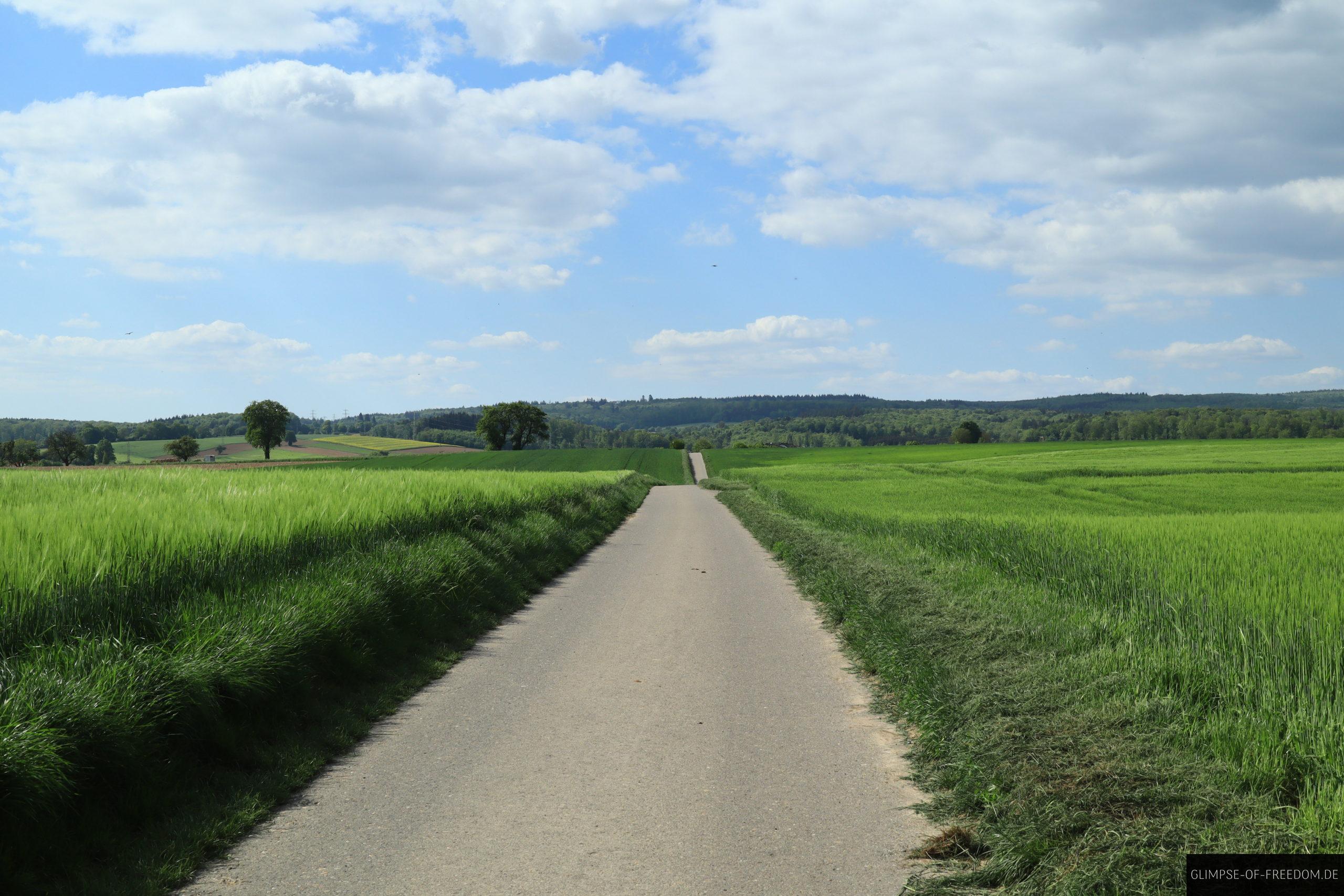 Gauangelloch Leimen Wanderung scaled Gauangelloch Leimen Wanderung