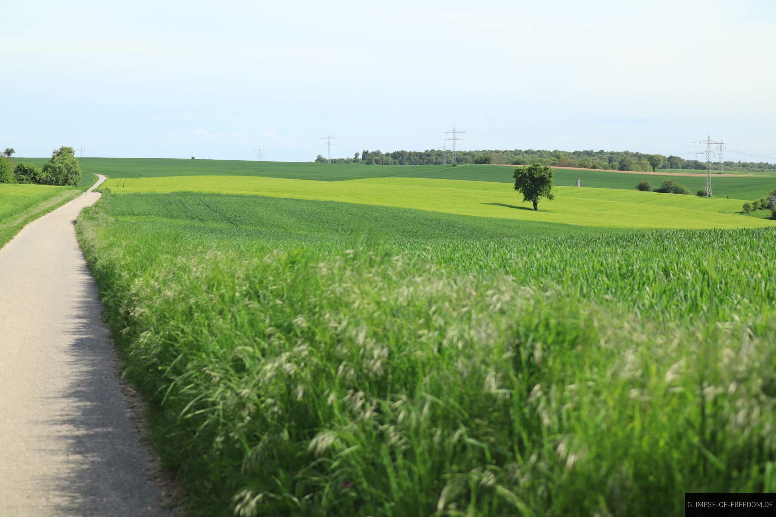 Gauangellocher Hoehenweg scaled Gauangellocher Höhenweg