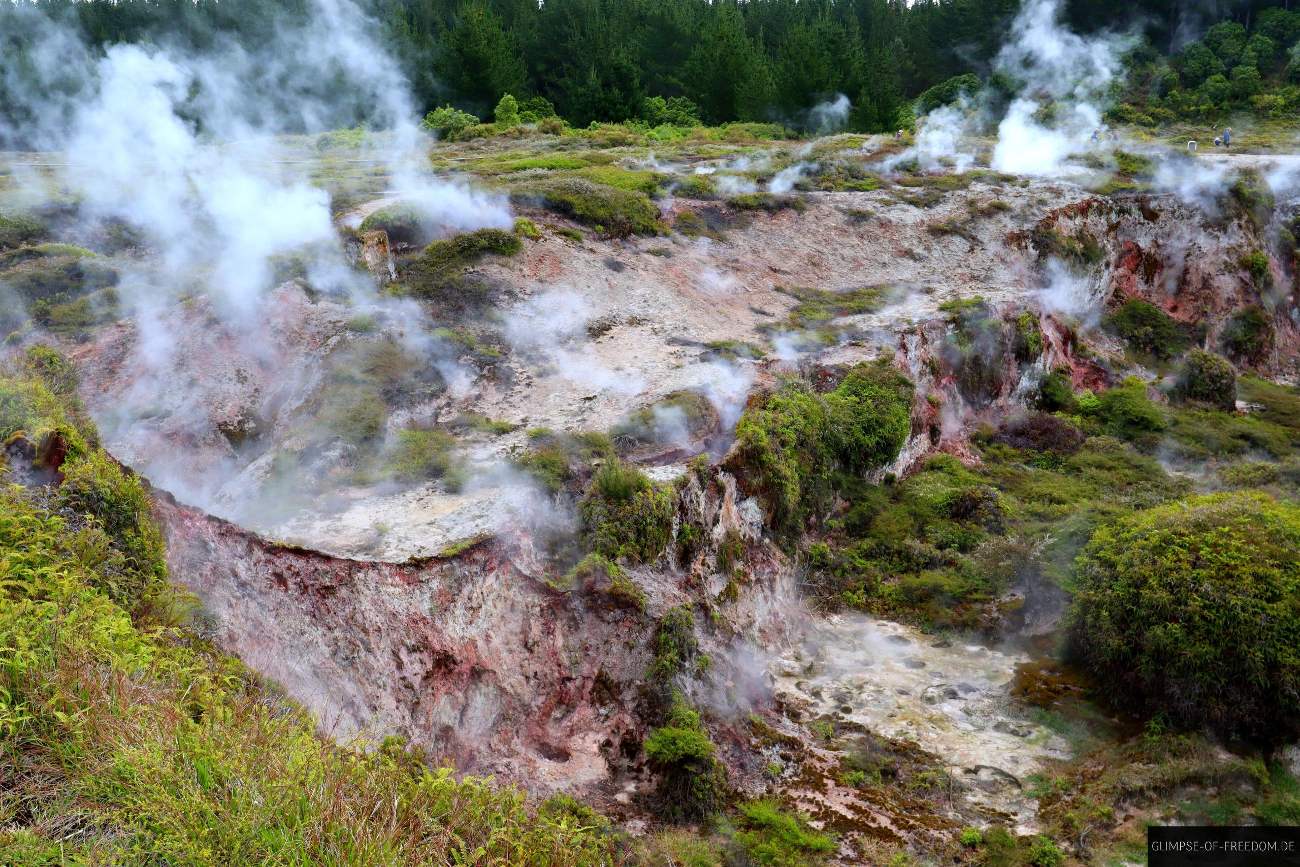 Geothermale Dampfschwaden im Craters of the Moon NZ Geothermale Dampfschwaden im Craters of the Moon NZ