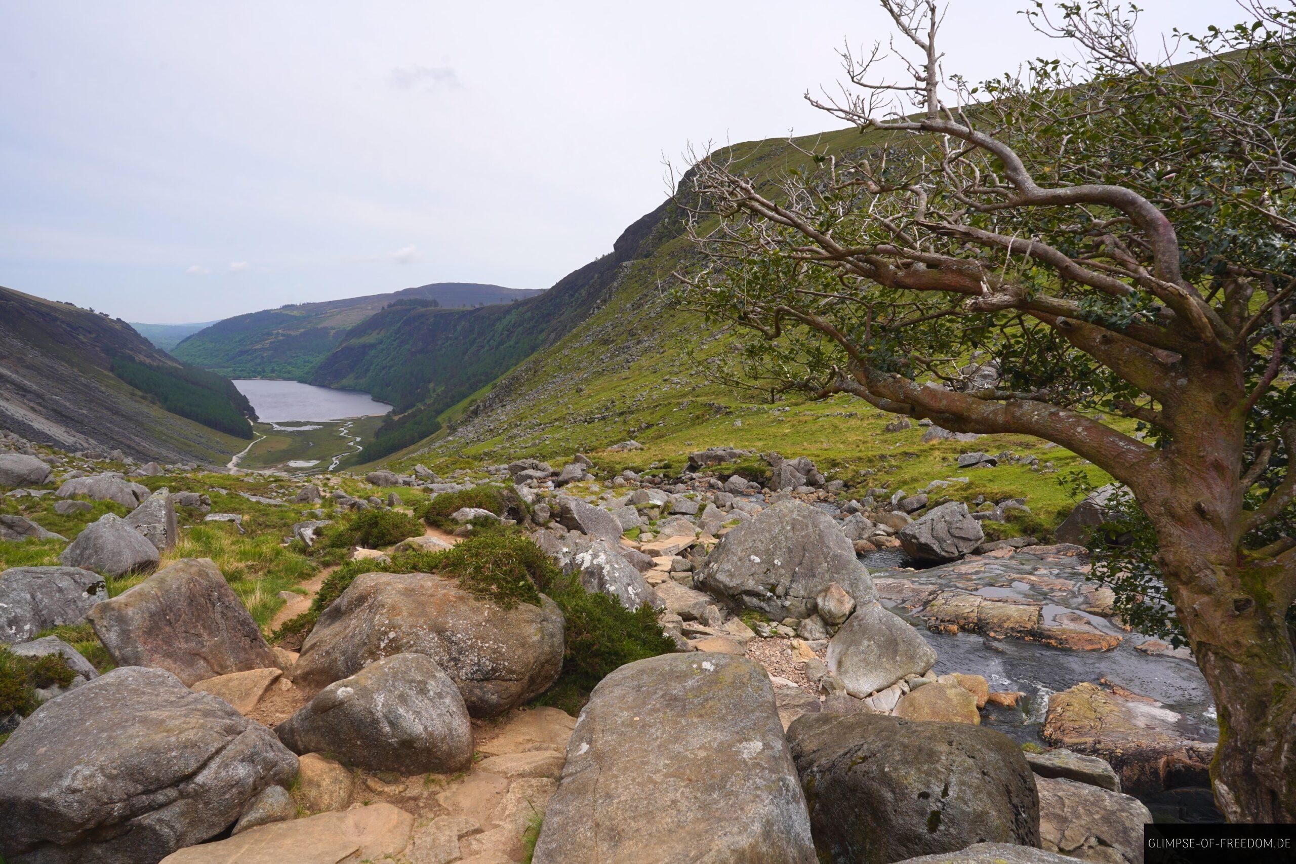 Glenealo River fliesst Richtung Tal scaled Glenealo River fließt Richtung Tal