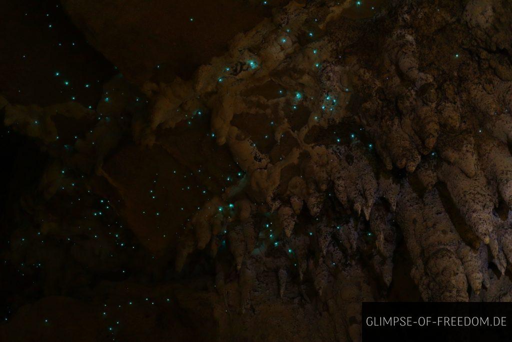 Glühwürmchen an der Höhlendecke