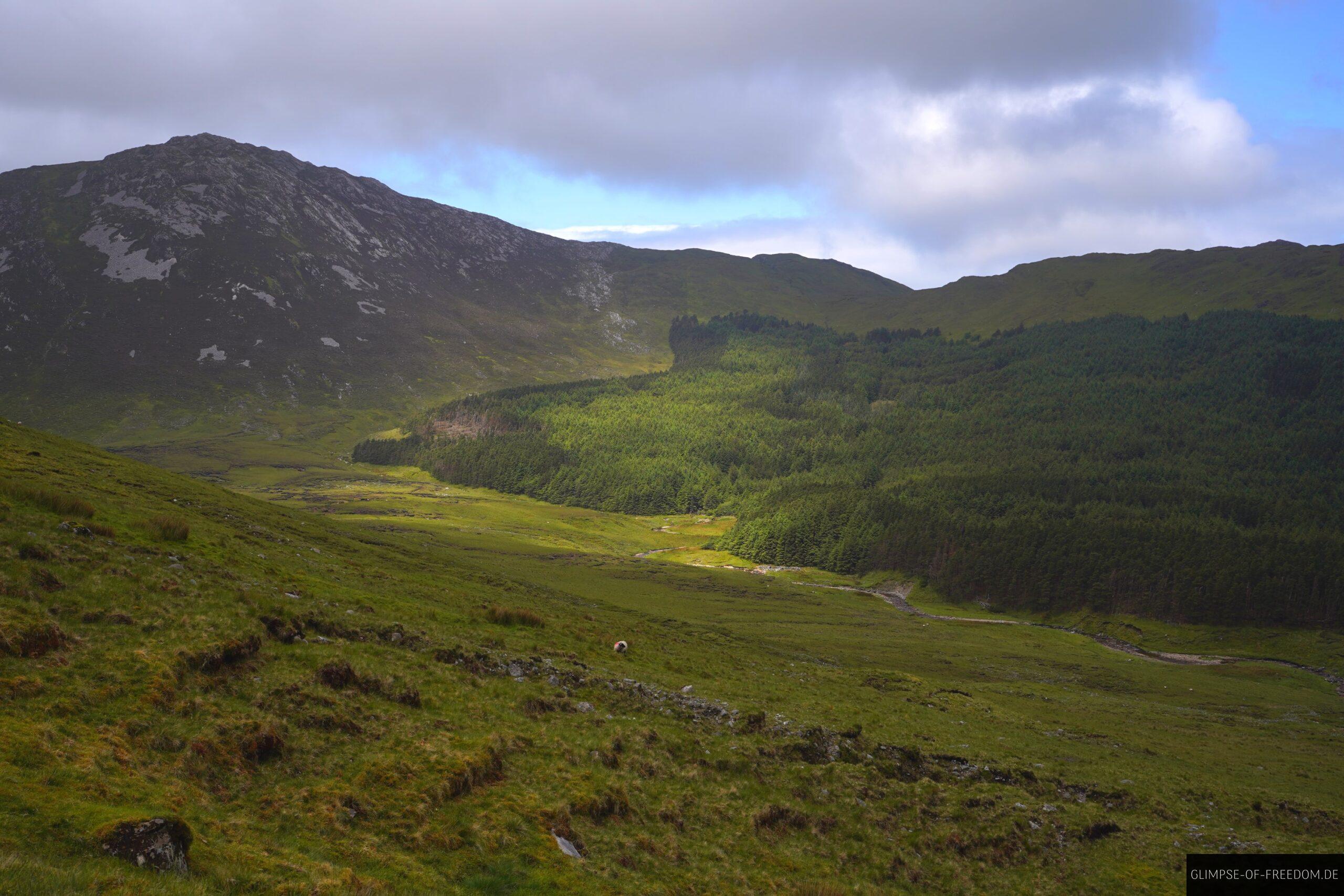 Grandiose Aussicht auf den Benbrack und kleines Waldstueck scaled Grandiose Aussicht auf den Benbrack und kleines Waldstück