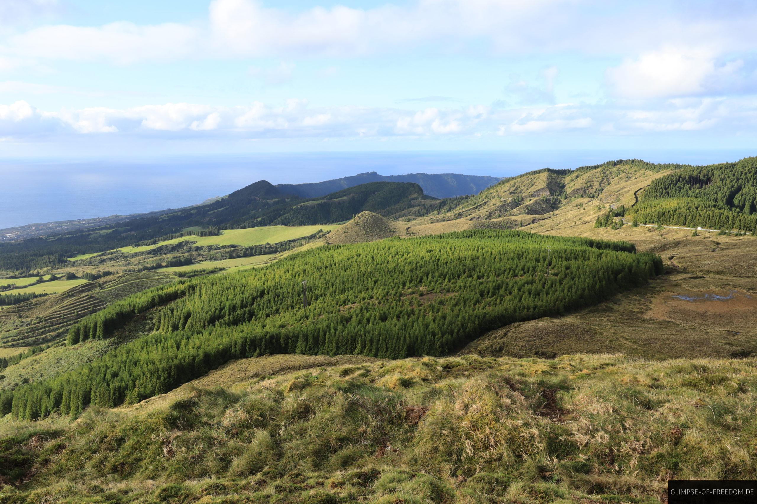 Gras und Waldgebiet auf S Miguel scaled Gras und Waldgebiet auf S. Miguel