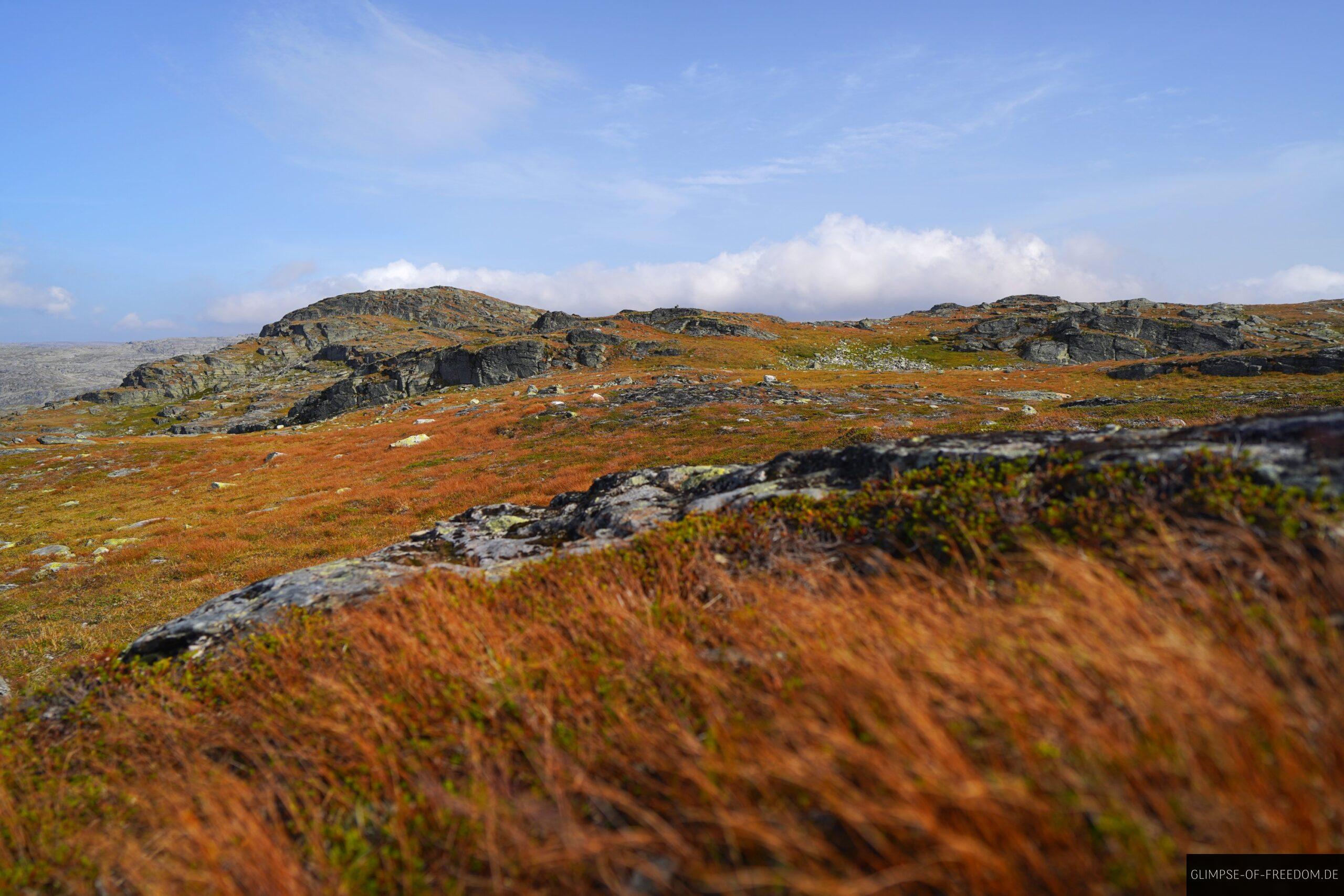 Graslandschaft auf dem Berg Rossnos scaled Graslandschaft auf dem Berg Rossnos