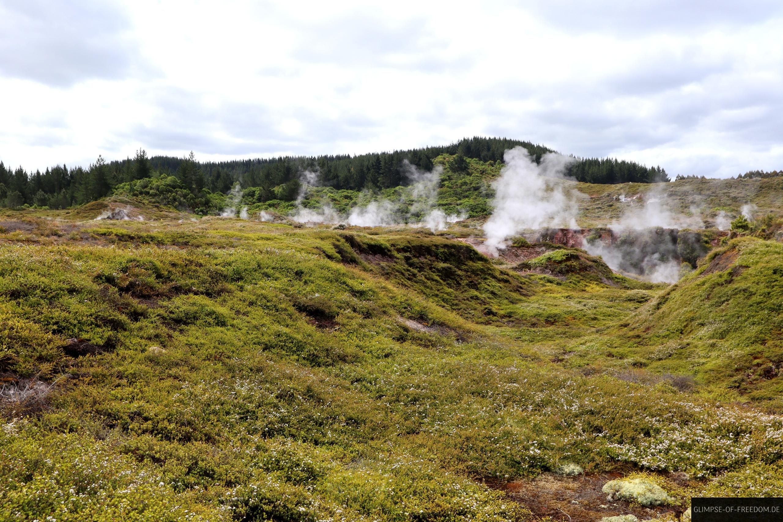 Graslandschaft mit Kratern Graslandschaft mit Kratern