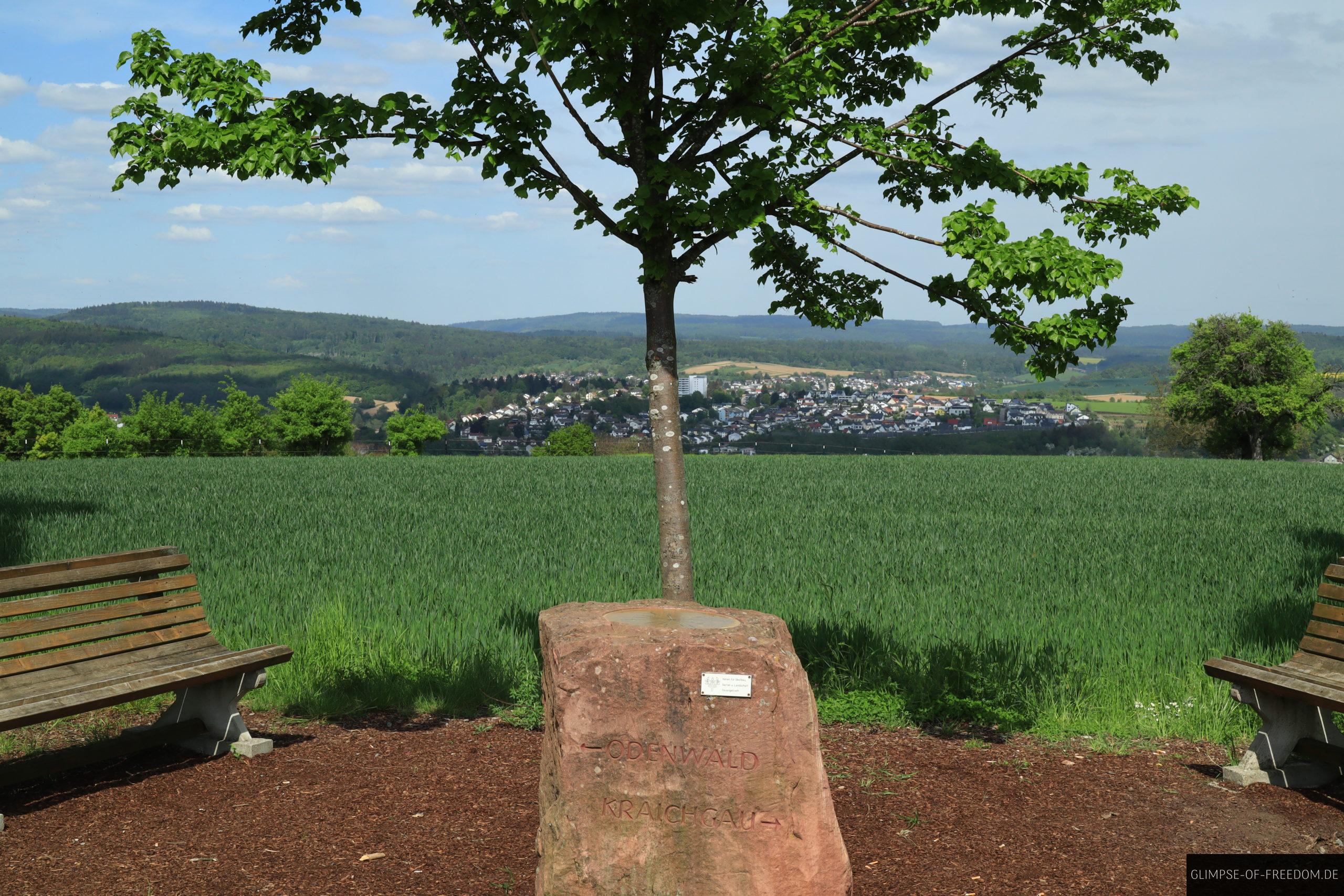 Grenzstein Odenwald Kraichgau scaled Grenzstein Odenwald Kraichgau