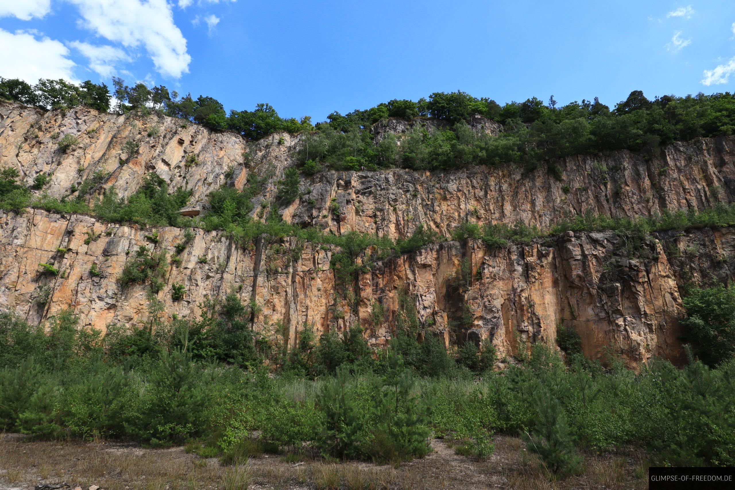 Grosse Felswand im Steinbruch Schriesheim